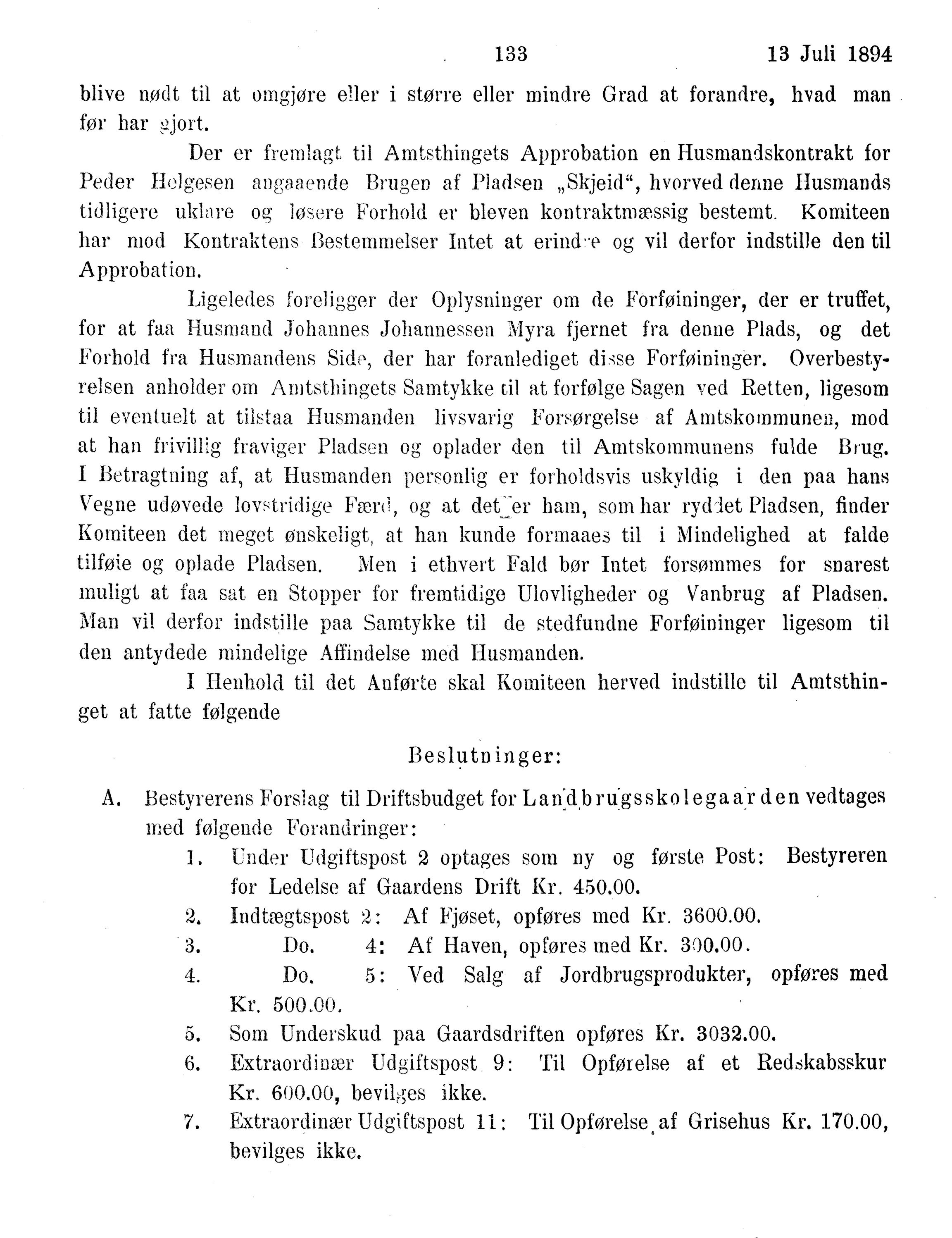 Nordland Fylkeskommune. Fylkestinget, AIN/NFK-17/176/A/Ac/L0017: Fylkestingsforhandlinger 1894, 1894