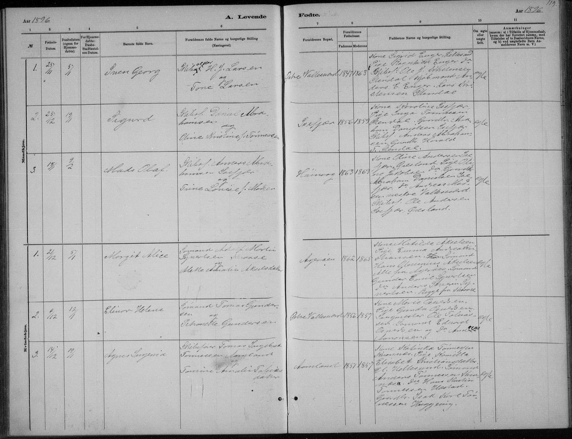 Høvåg sokneprestkontor, SAK/1111-0025/F/Fb/L0004: Parish register (copy) no. B 4, 1883-1898, p. 119