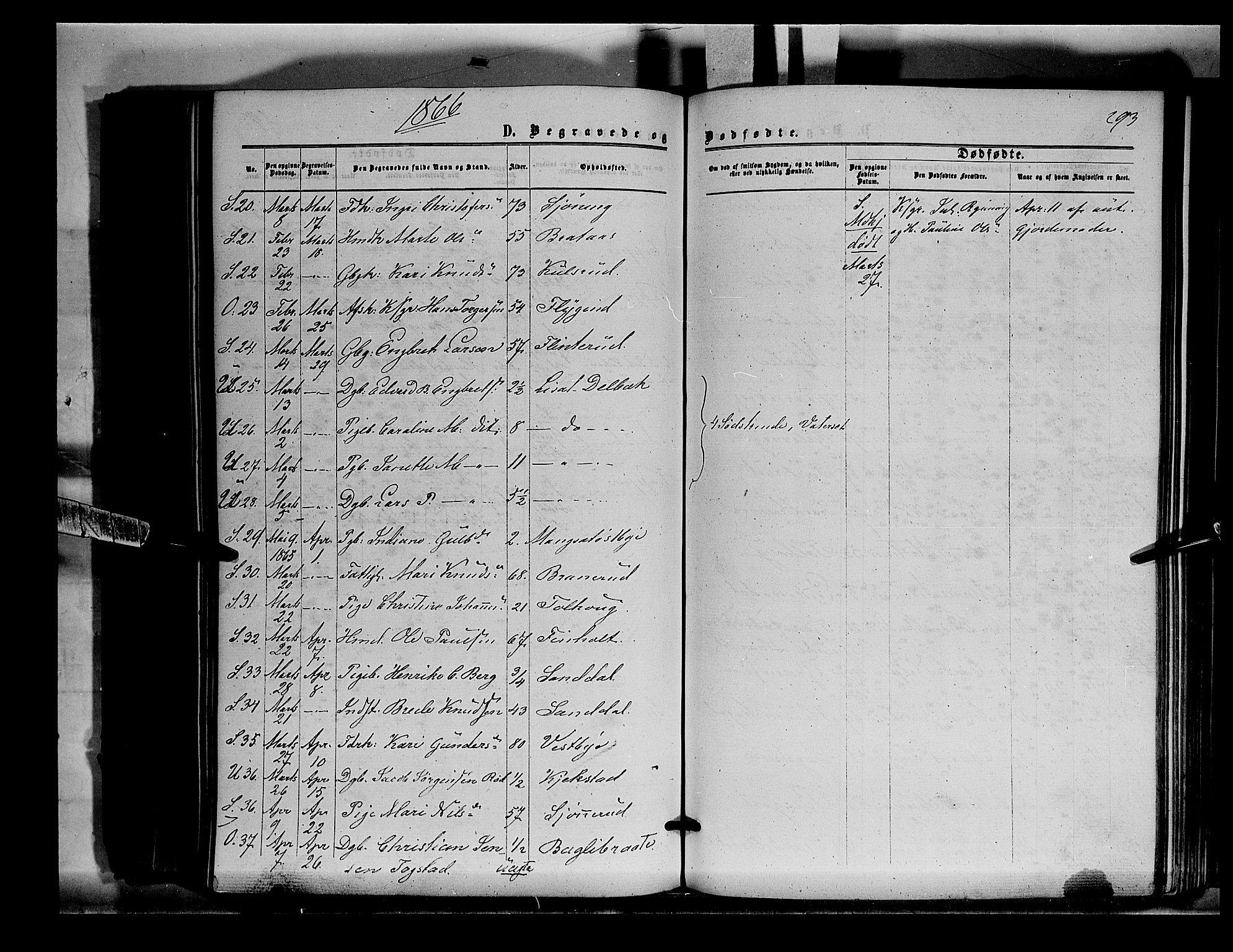 Sør-Odal prestekontor, AV/SAH-PREST-030/H/Ha/Haa/L0003: Parish register (official) no. 3, 1864-1870, p. 293