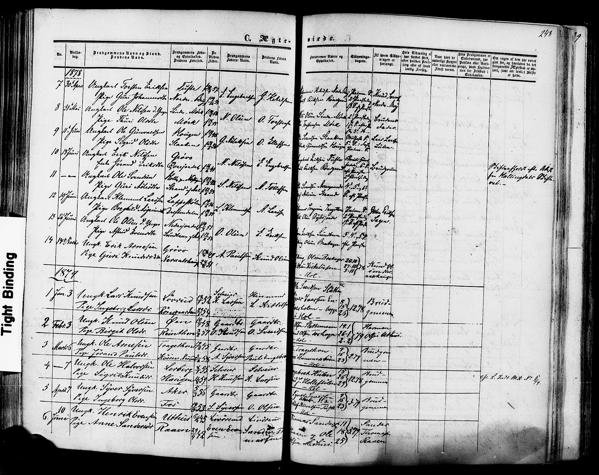 Hol kirkebøker, AV/SAKO-A-227/F/Fa/L0002: Parish register (official) no. I 2, 1870-1886, p. 248