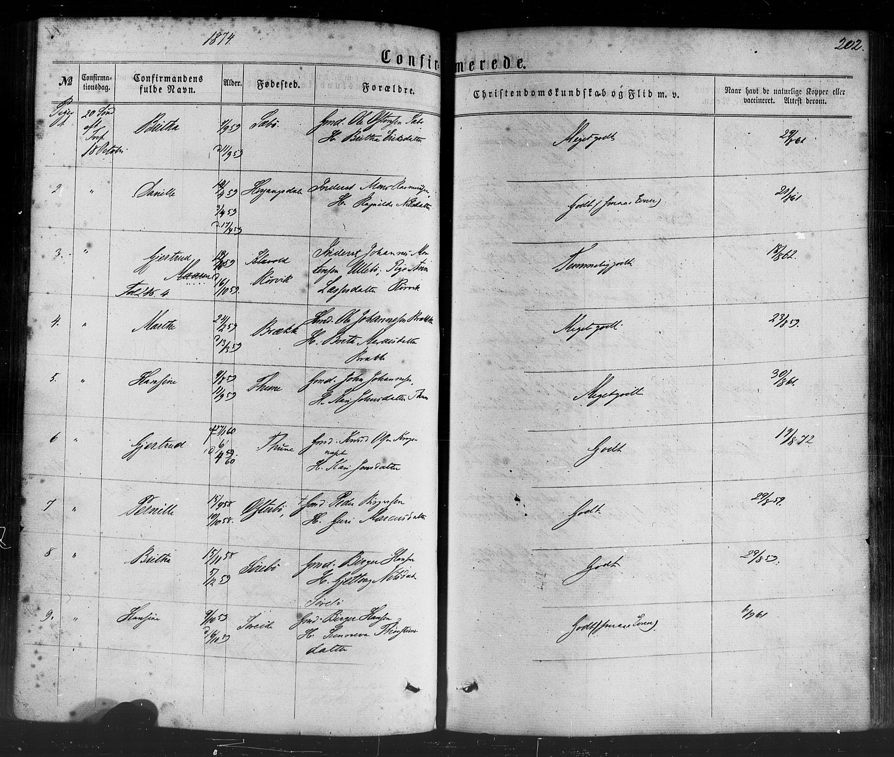 Lavik sokneprestembete, AV/SAB-A-80901: Parish register (official) no. A 4, 1864-1881, p. 202