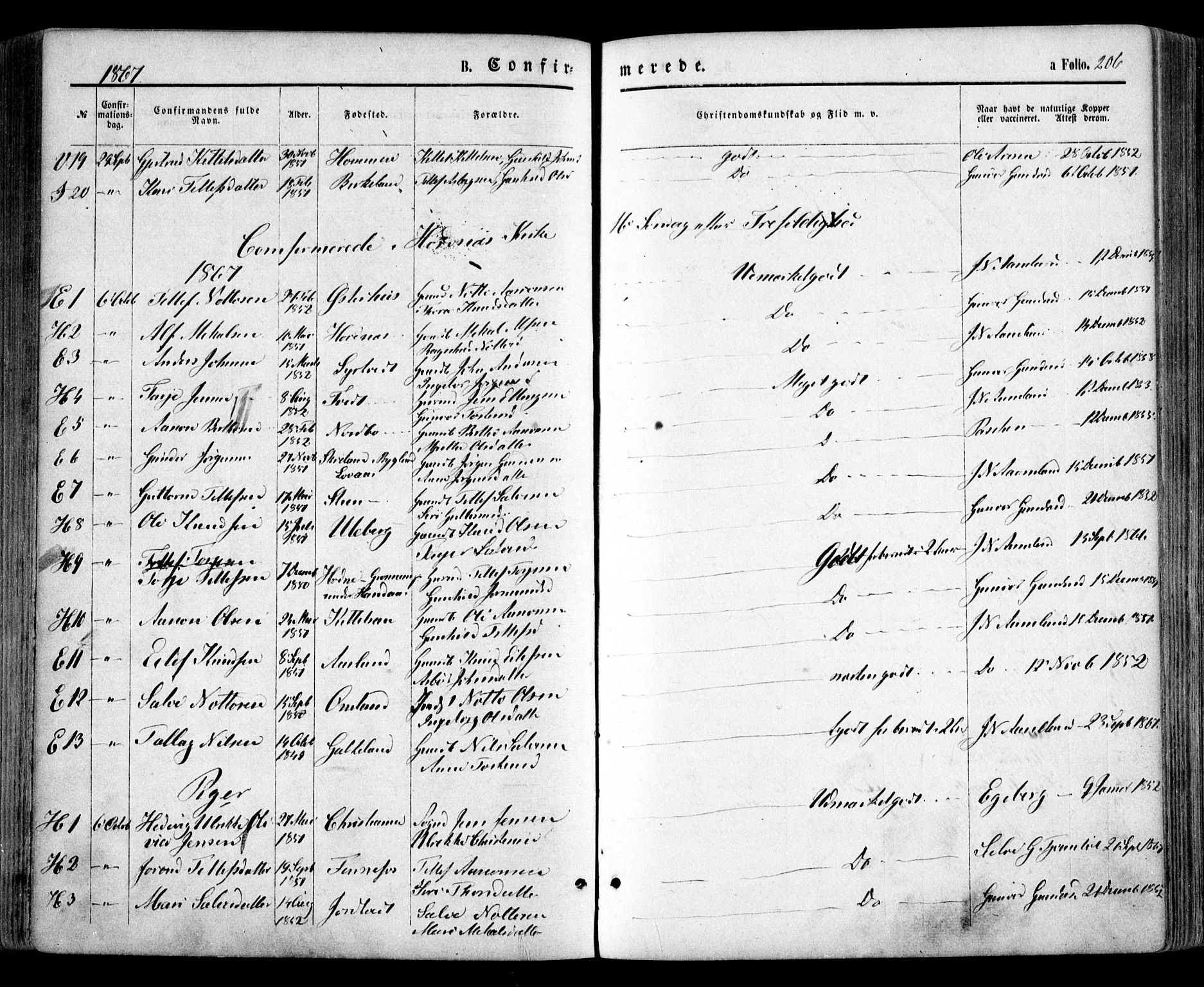 Evje sokneprestkontor, AV/SAK-1111-0008/F/Fa/Faa/L0006: Parish register (official) no. A 6, 1866-1884, p. 206