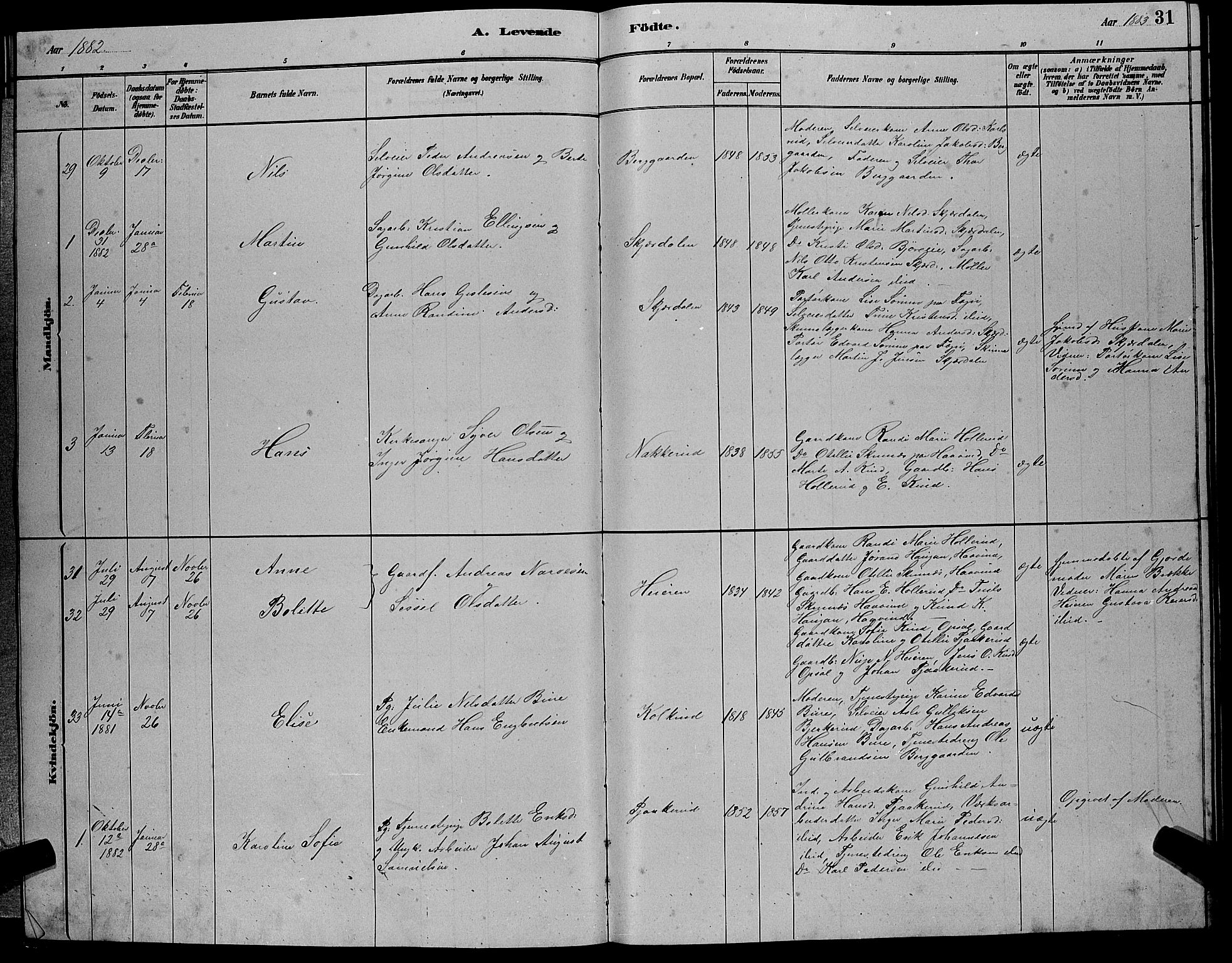 Hole kirkebøker, SAKO/A-228/G/Gb/L0002: Parish register (copy) no. II 2, 1878-1889, p. 31