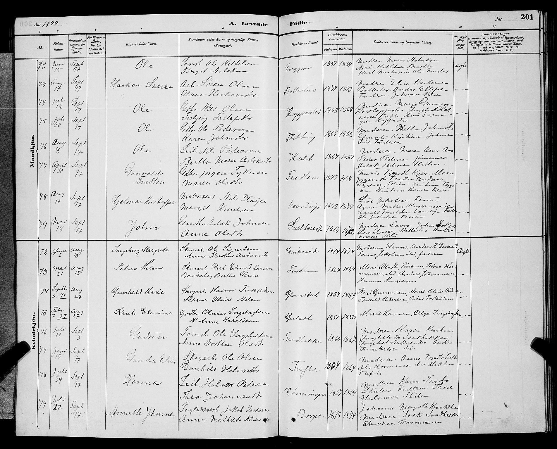 Gjerpen kirkebøker, AV/SAKO-A-265/G/Ga/L0002: Parish register (copy) no. I 2, 1883-1900, p. 201