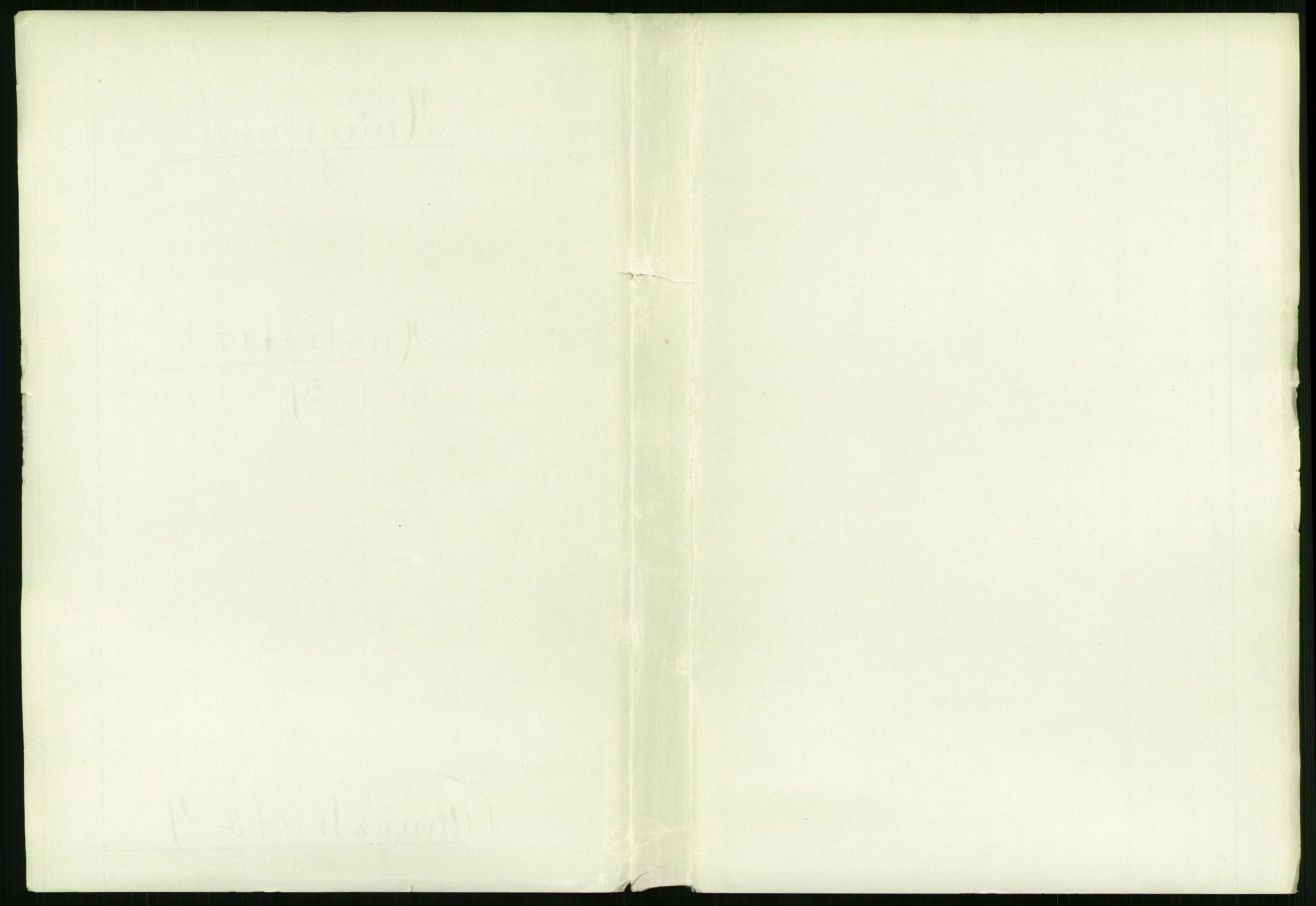 RA, 1891 census for 1106 Haugesund, 1891, p. 216