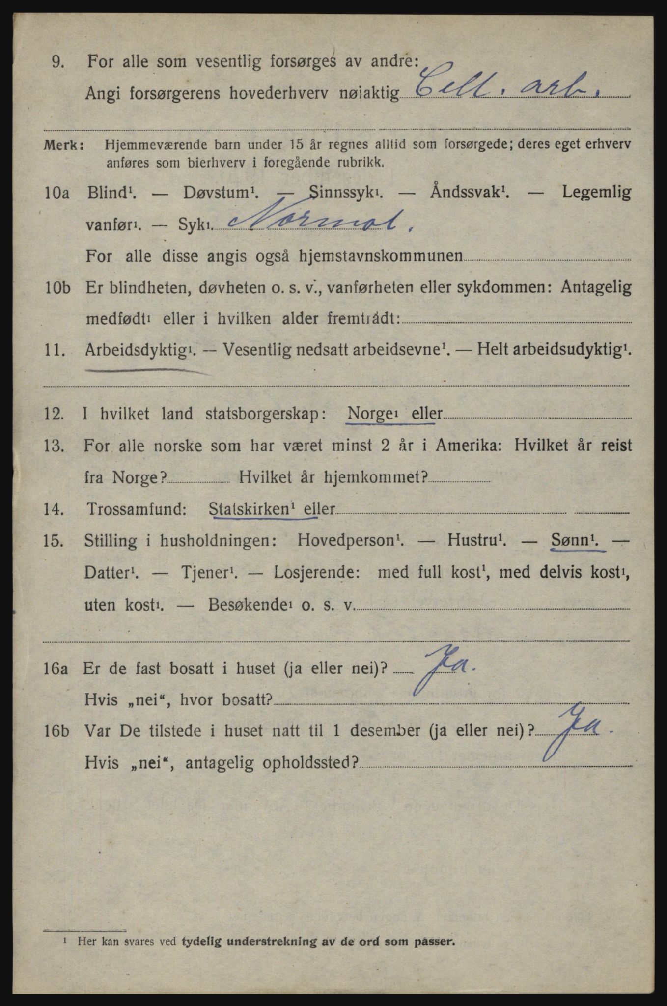 SAO, 1920 census for Berg, 1920, p. 11738