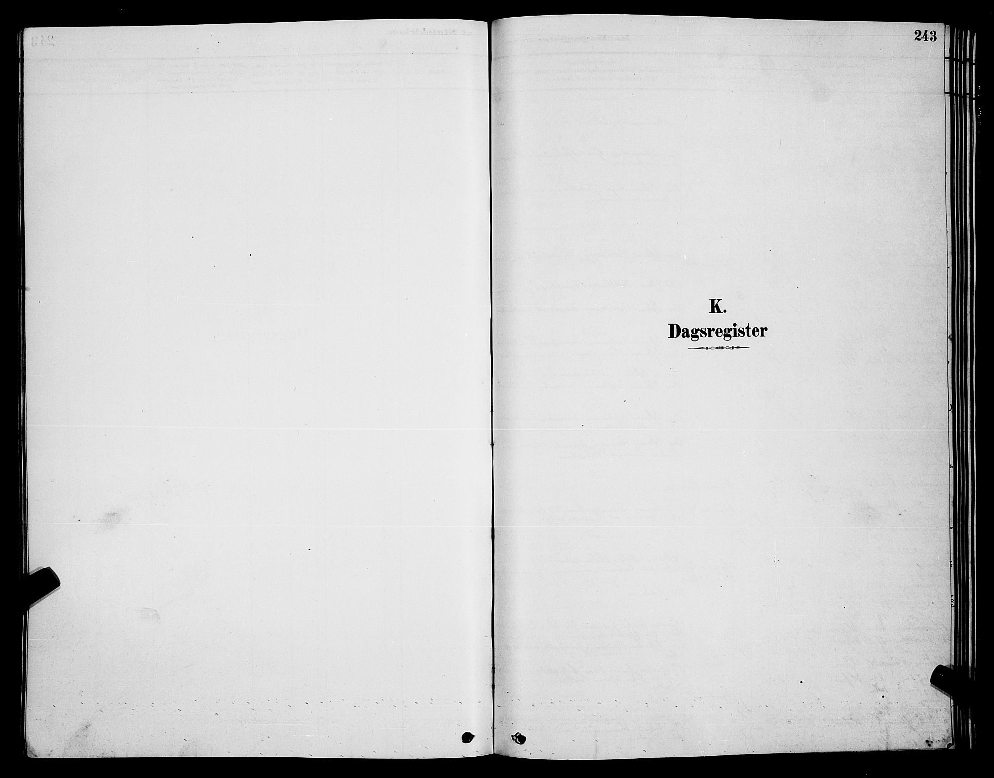 Hammerfest sokneprestkontor, AV/SATØ-S-1347/H/Hb/L0006.klokk: Parish register (copy) no. 6, 1876-1884, p. 243