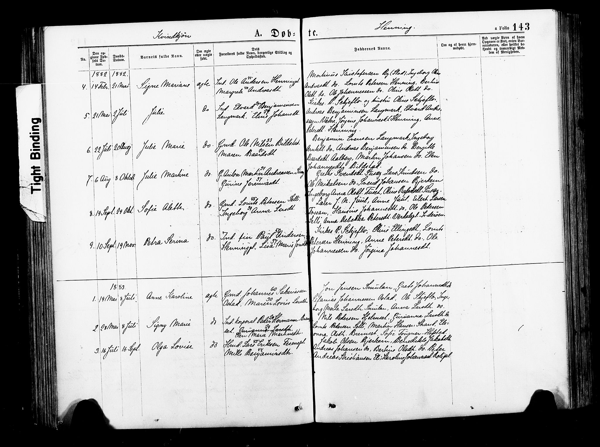 Ministerialprotokoller, klokkerbøker og fødselsregistre - Nord-Trøndelag, SAT/A-1458/735/L0348: Parish register (official) no. 735A09 /3, 1873-1883, p. 143