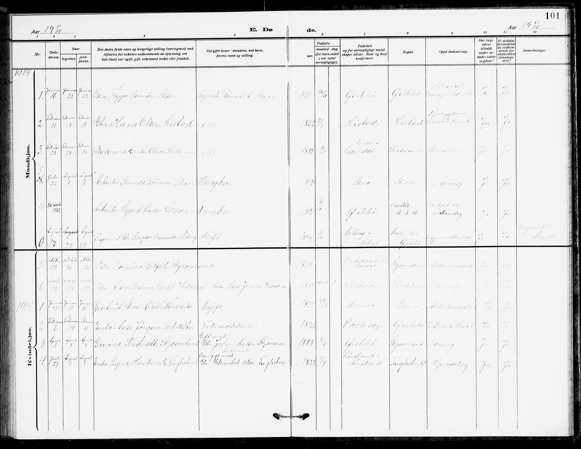 Holum sokneprestkontor, AV/SAK-1111-0022/F/Fb/Fbc/L0004: Parish register (copy) no. B 4, 1908-1930, p. 101