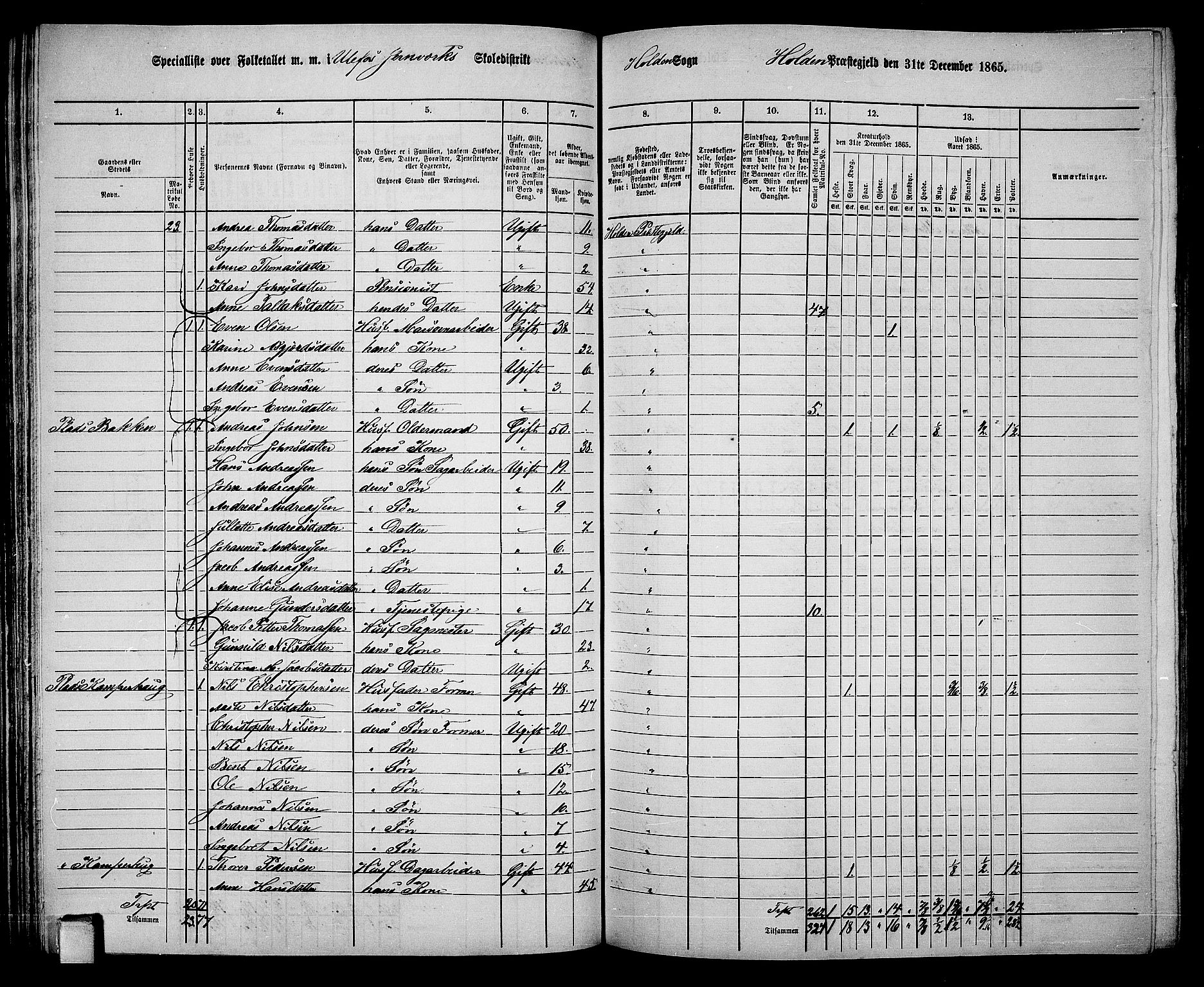 RA, 1865 census for Holla, 1865, p. 57