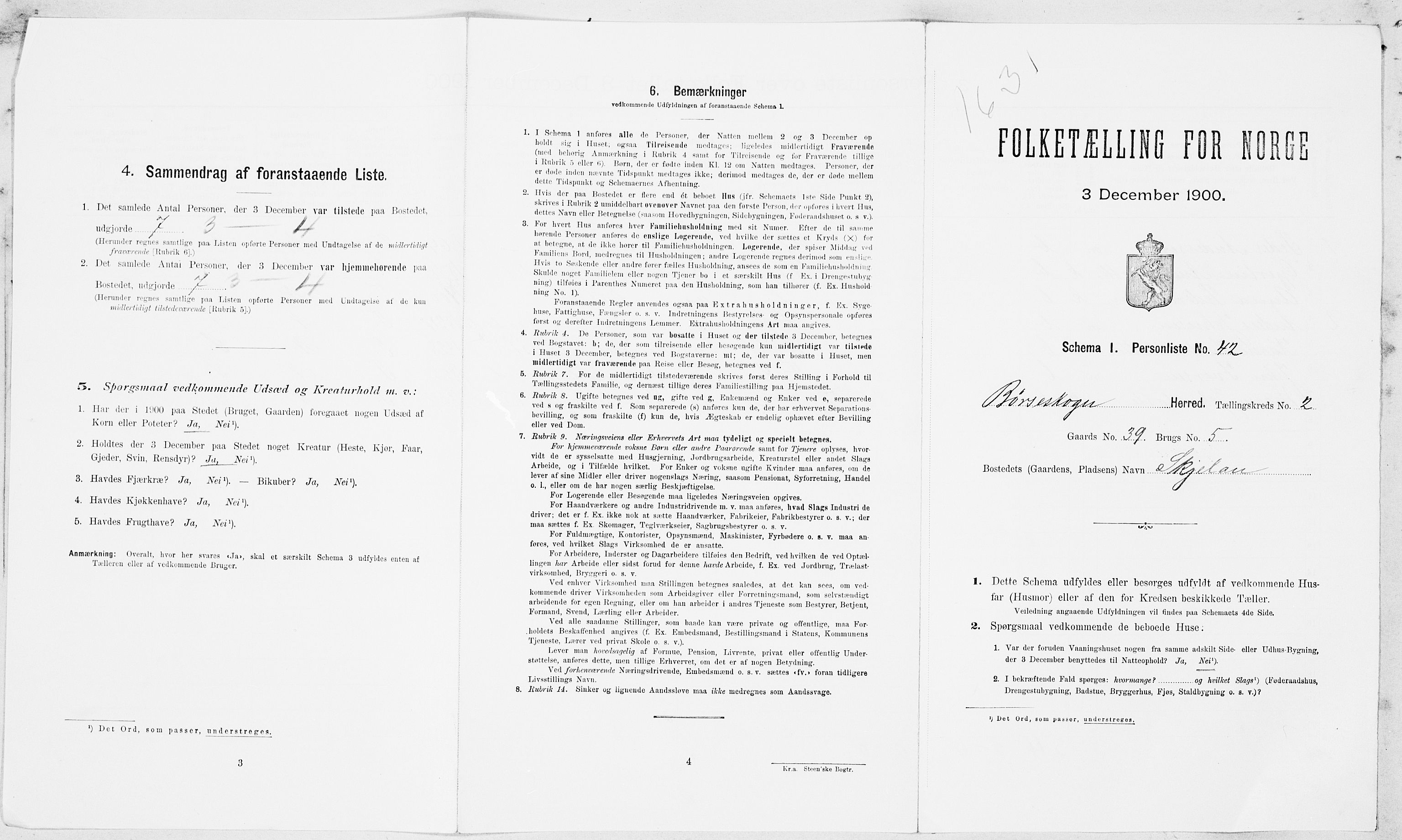 SAT, 1900 census for Børseskogn, 1900, p. 258