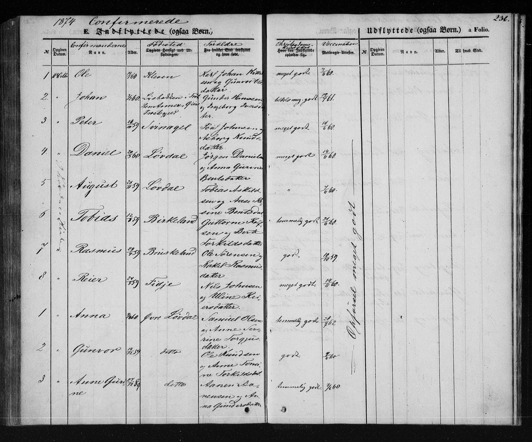 Holum sokneprestkontor, AV/SAK-1111-0022/F/Fa/Fab/L0005: Parish register (official) no. A 5, 1847-1874, p. 236