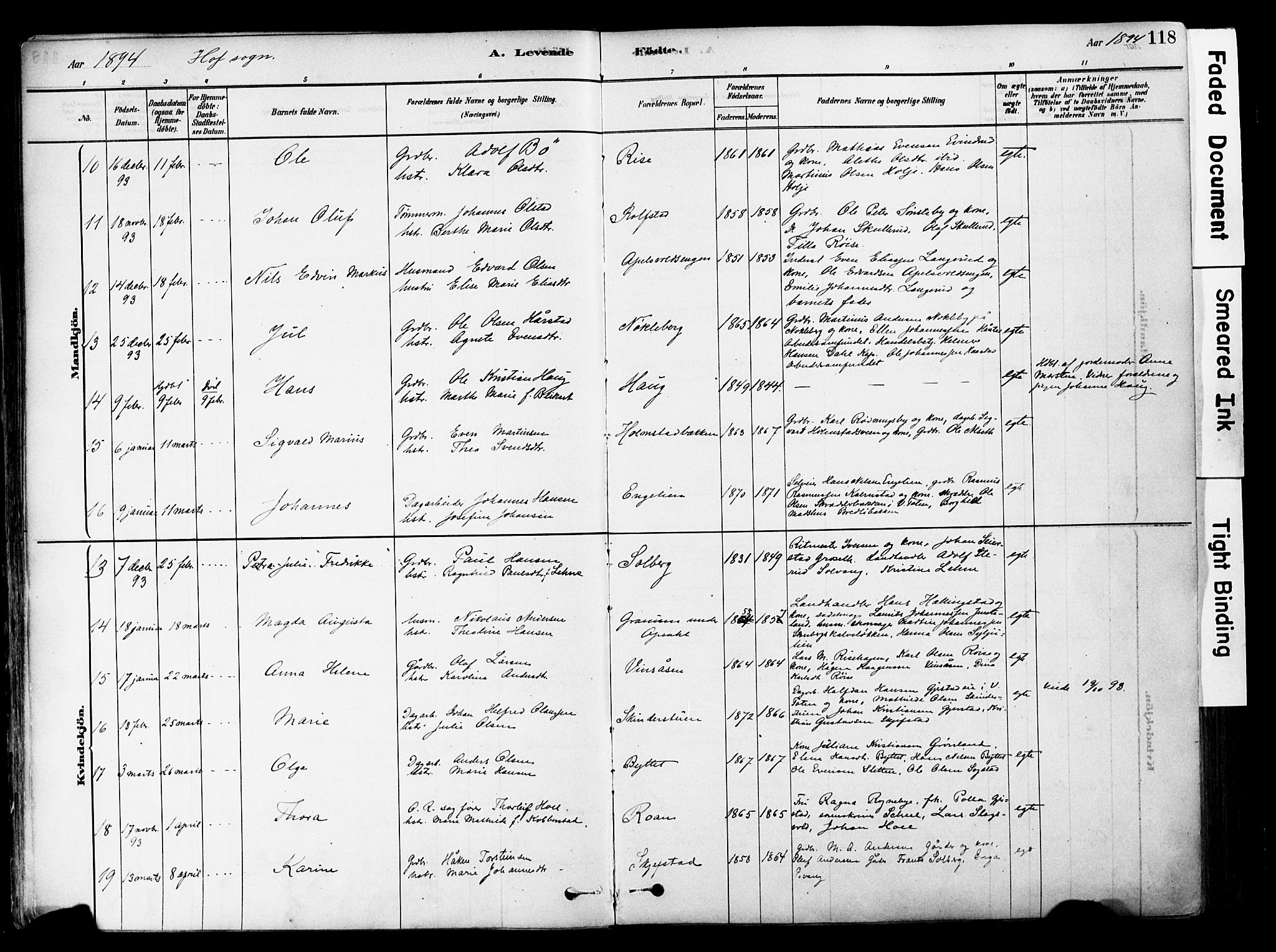 Østre Toten prestekontor, AV/SAH-PREST-104/H/Ha/Haa/L0006: Parish register (official) no. 6 /1, 1878-1896, p. 118