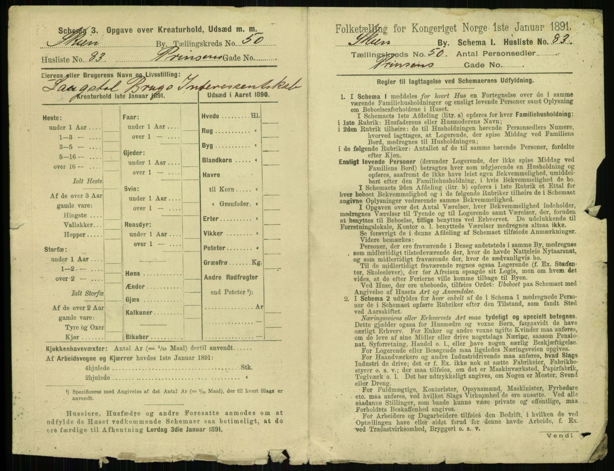 RA, 1891 census for 0806 Skien, 1891, p. 2144