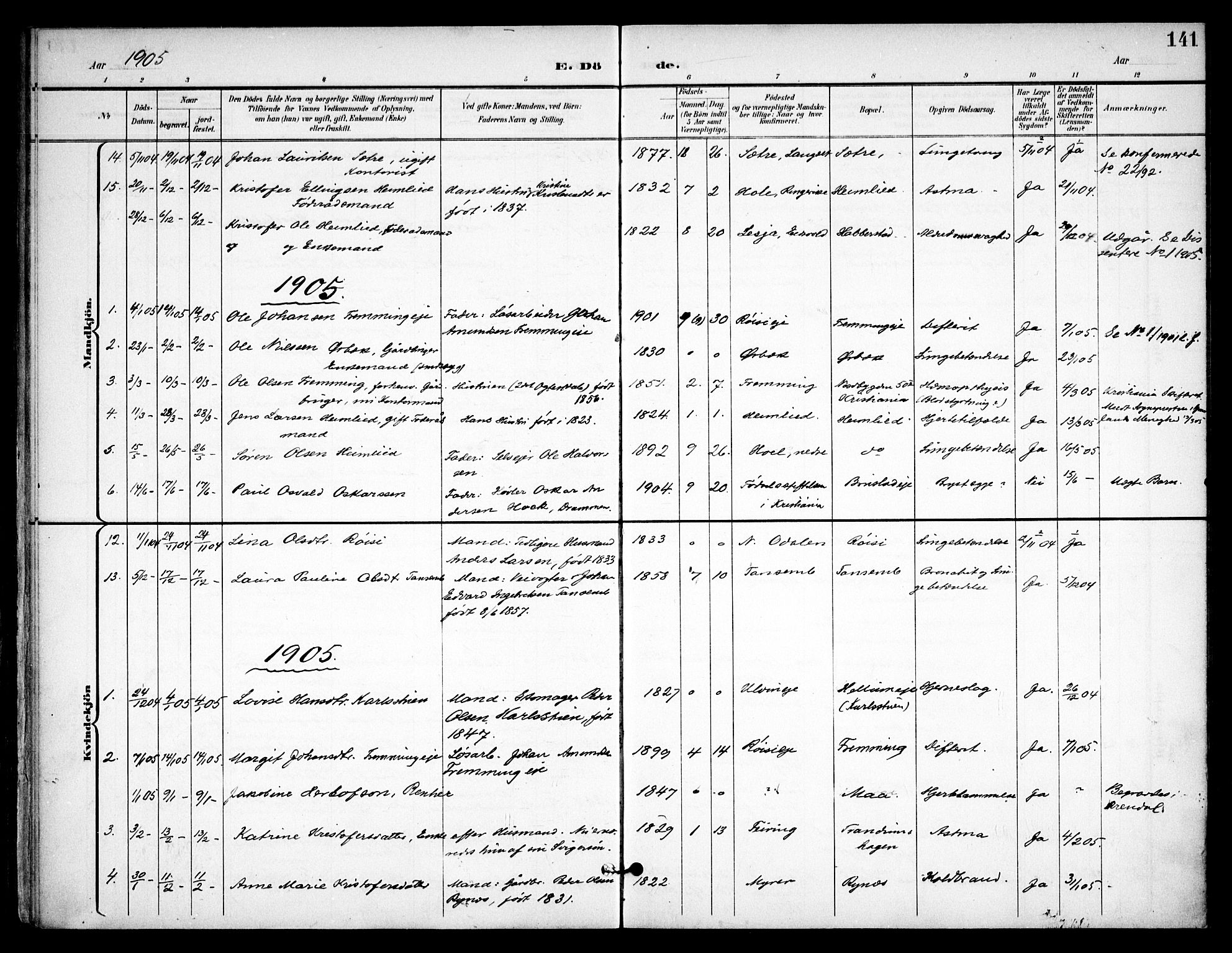 Eidsvoll prestekontor Kirkebøker, AV/SAO-A-10888/F/Fb/L0003: Parish register (official) no. II 3, 1898-1909, p. 141