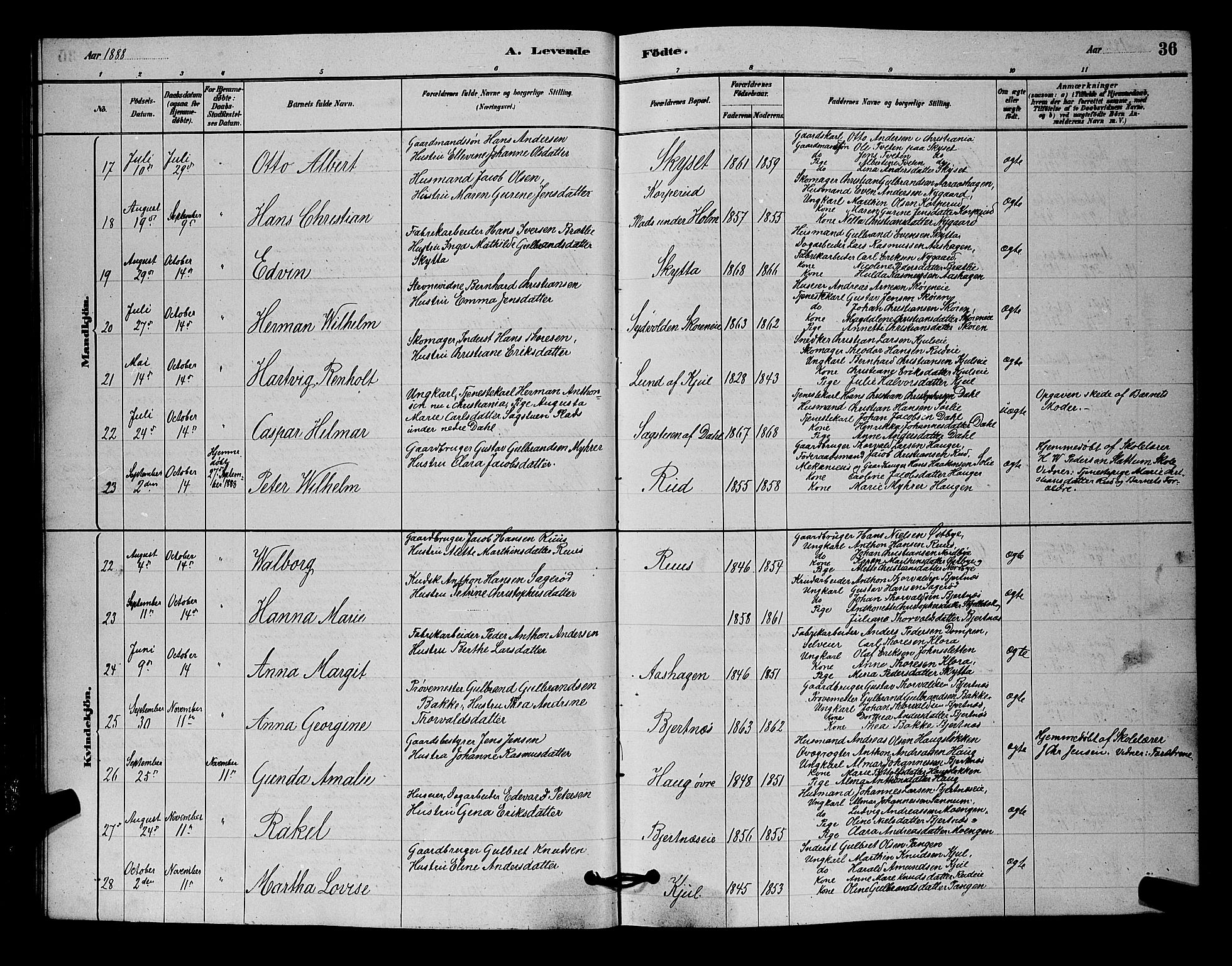 Nittedal prestekontor Kirkebøker, AV/SAO-A-10365a/G/Ga/L0002: Parish register (copy) no. I 2, 1879-1901, p. 36