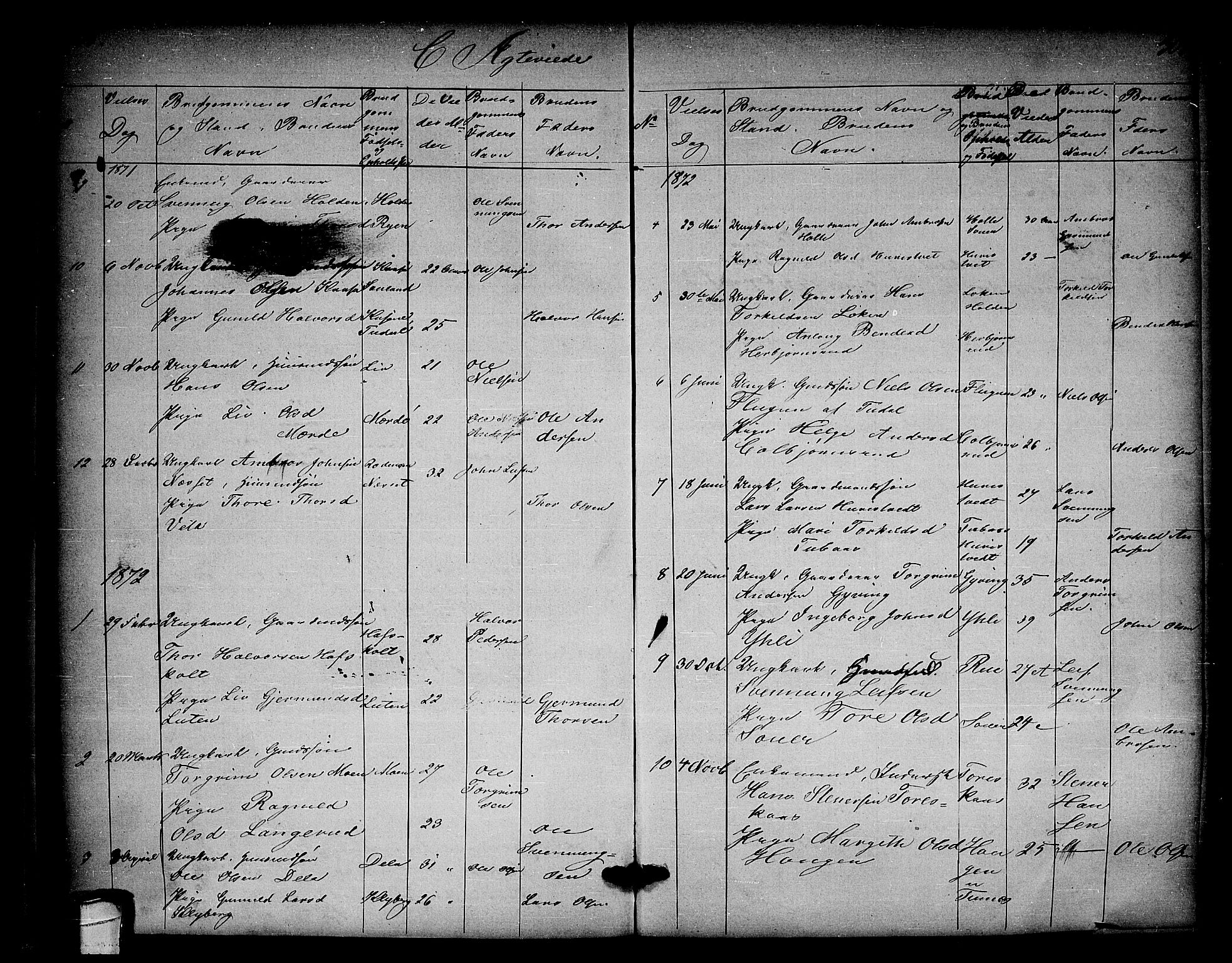 Heddal kirkebøker, SAKO/A-268/G/Ga/L0001: Parish register (copy) no. I 1, 1866-1878, p. 306-307