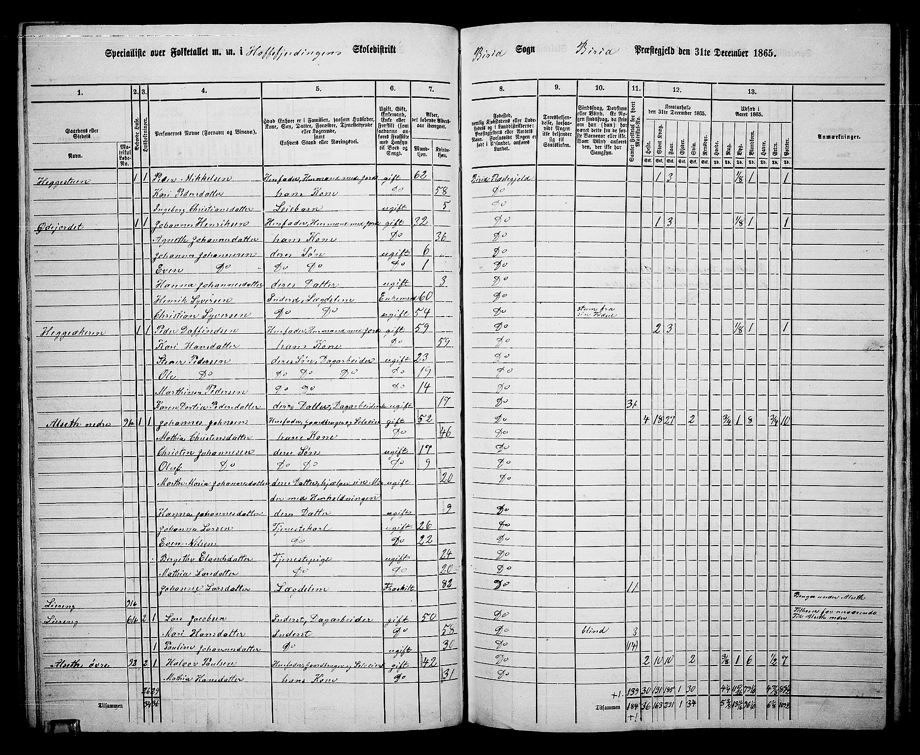RA, 1865 census for Biri, 1865, p. 93
