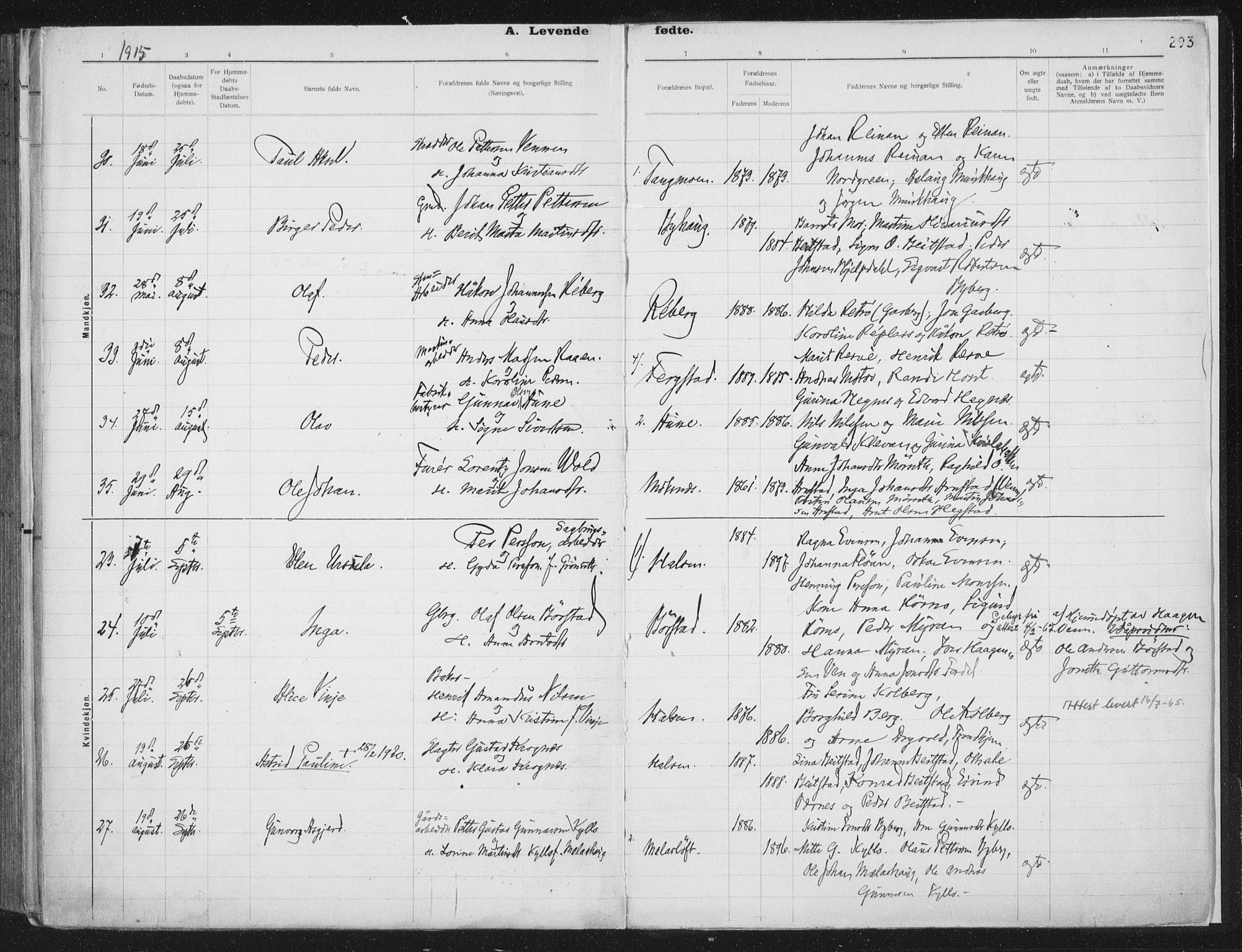 Ministerialprotokoller, klokkerbøker og fødselsregistre - Nord-Trøndelag, AV/SAT-A-1458/709/L0082: Parish register (official) no. 709A22, 1896-1916, p. 293