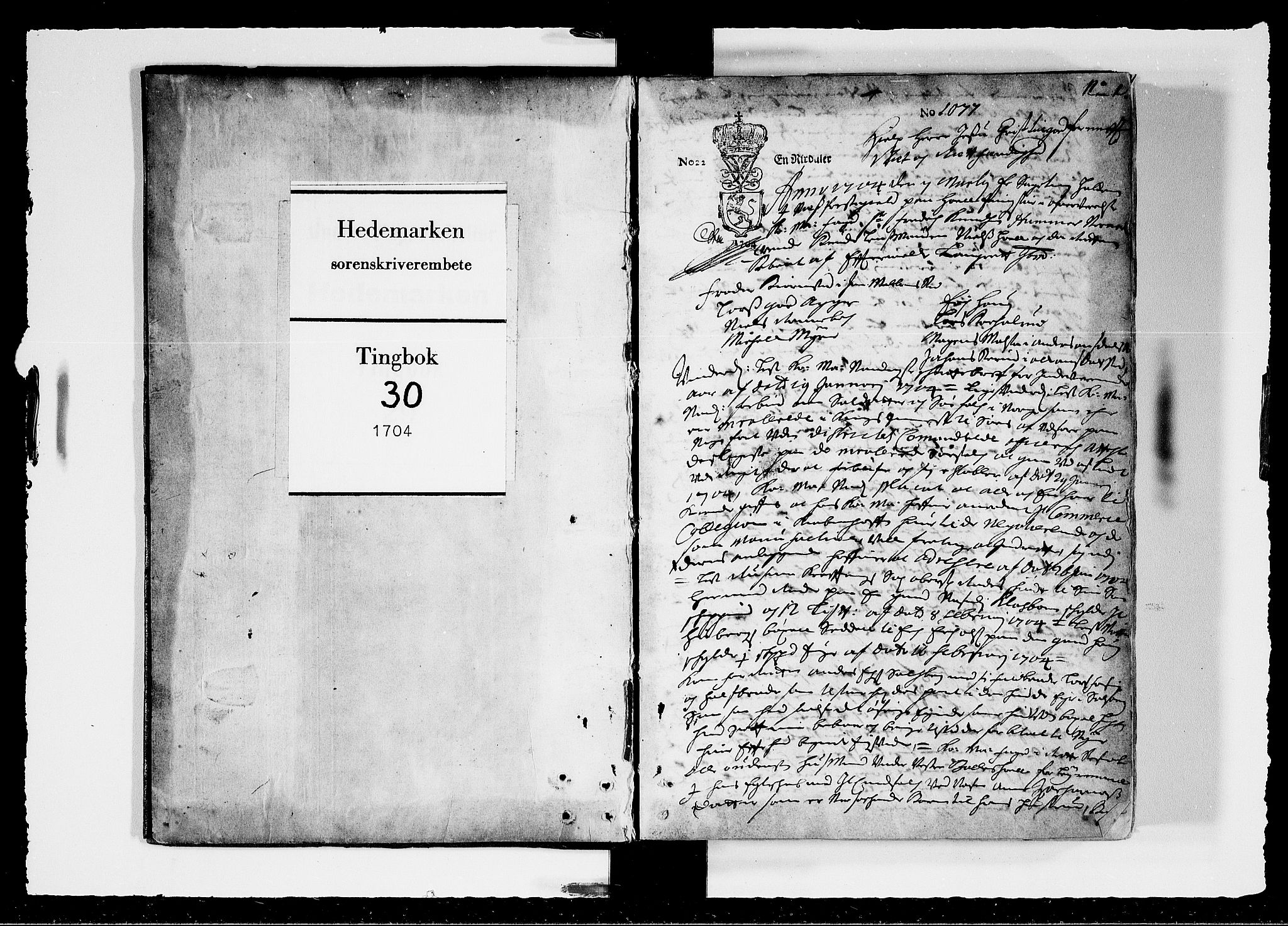 Hedemarken sorenskriveri, SAH/TING-034/G/Gb/L0030: Tingbok, 1704, p. 0b-1a