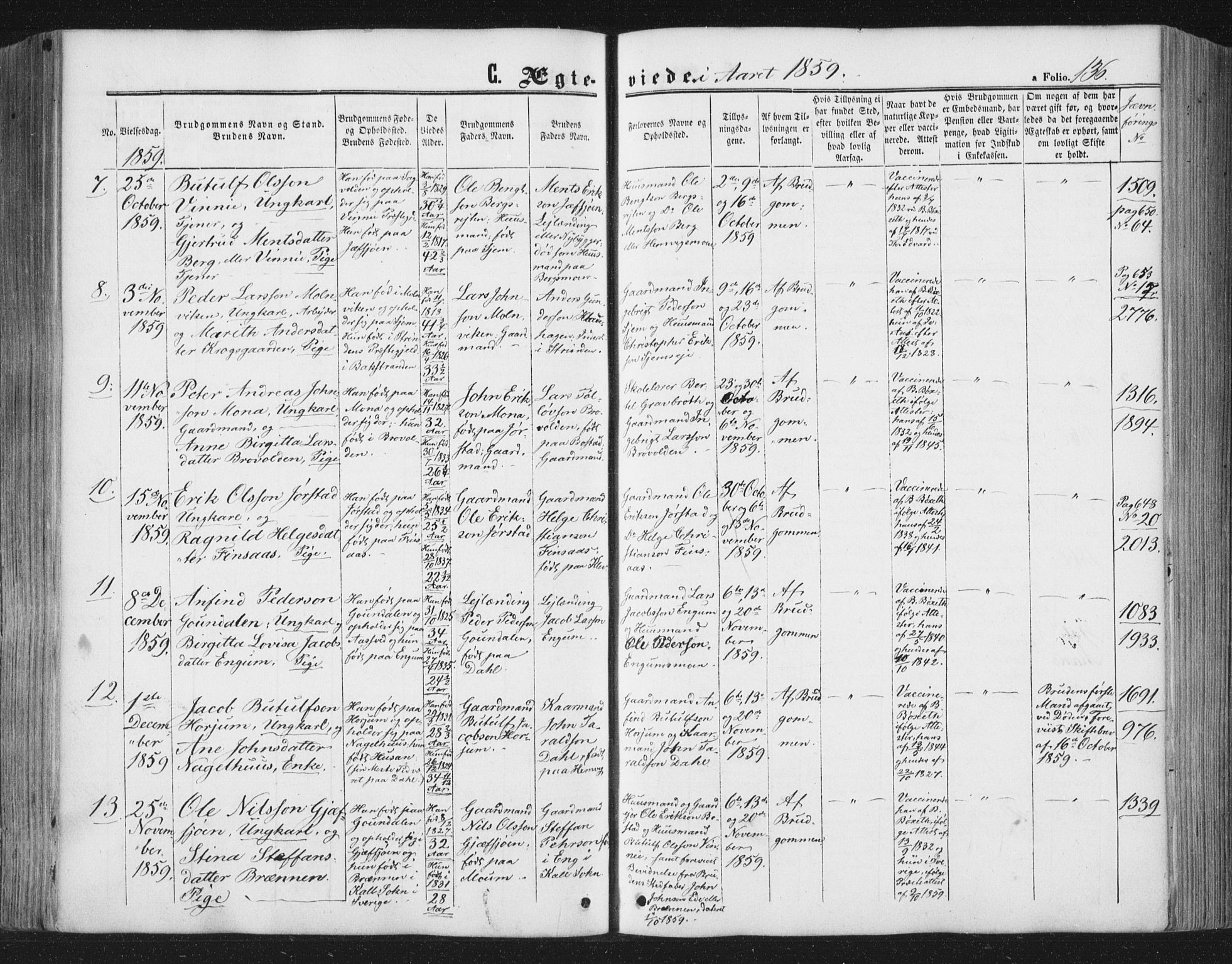 Ministerialprotokoller, klokkerbøker og fødselsregistre - Nord-Trøndelag, SAT/A-1458/749/L0472: Parish register (official) no. 749A06, 1857-1873, p. 136