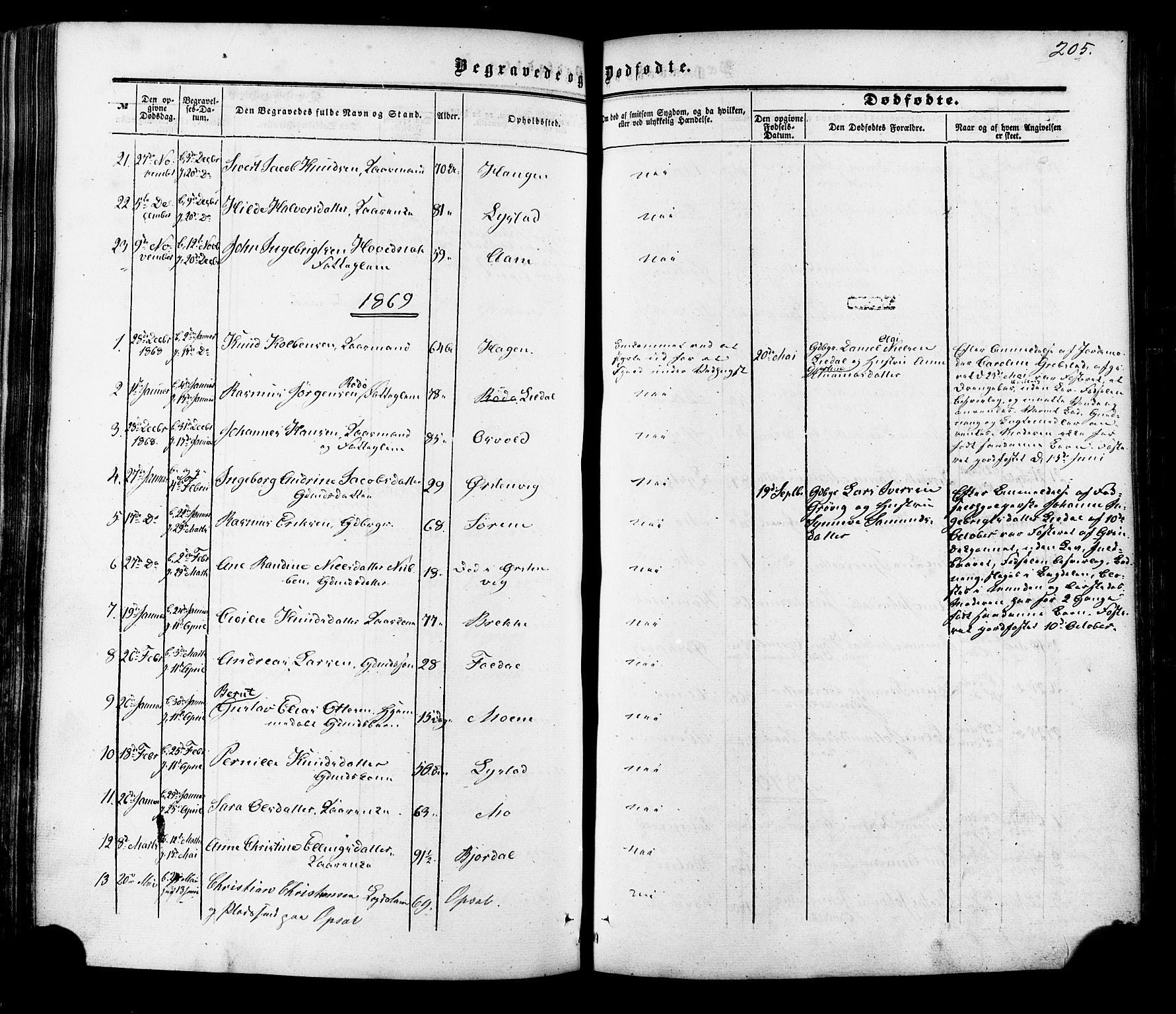 Ministerialprotokoller, klokkerbøker og fødselsregistre - Møre og Romsdal, AV/SAT-A-1454/513/L0175: Parish register (official) no. 513A02, 1856-1877, p. 205