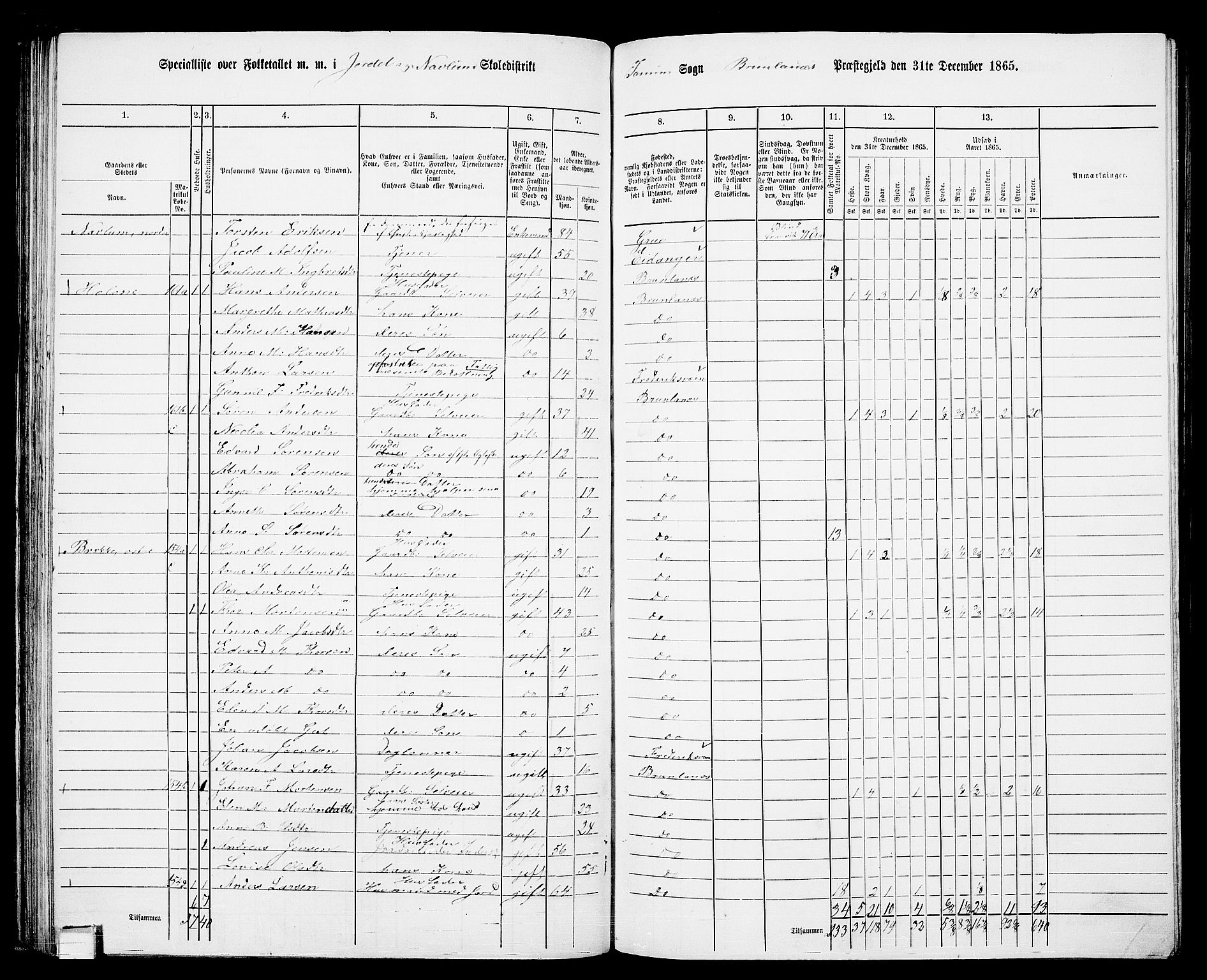 RA, 1865 census for Brunlanes, 1865, p. 76