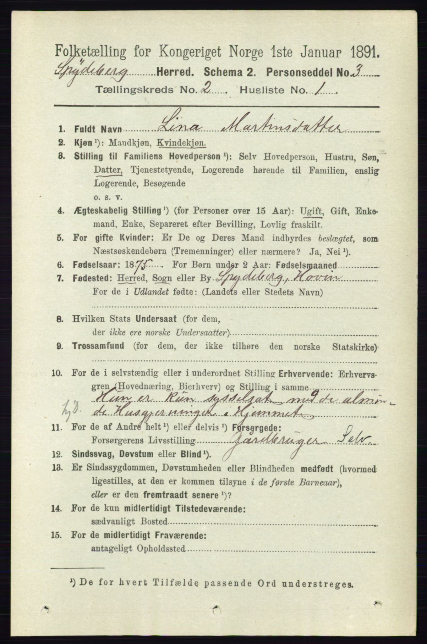 RA, 1891 census for 0123 Spydeberg, 1891, p. 698