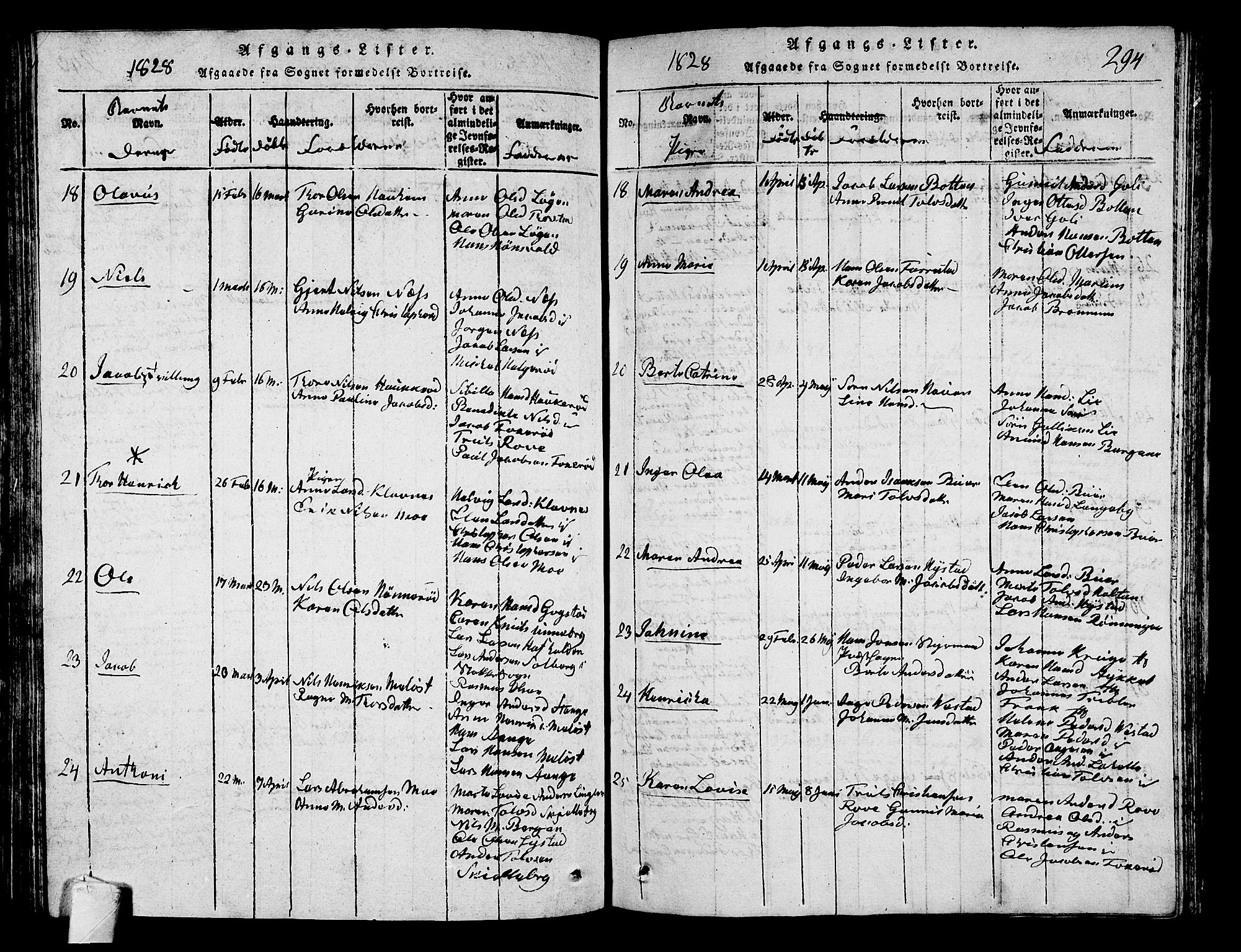 Sandar kirkebøker, SAKO/A-243/G/Ga/L0001: Parish register (copy) no. 1, 1814-1835, p. 294