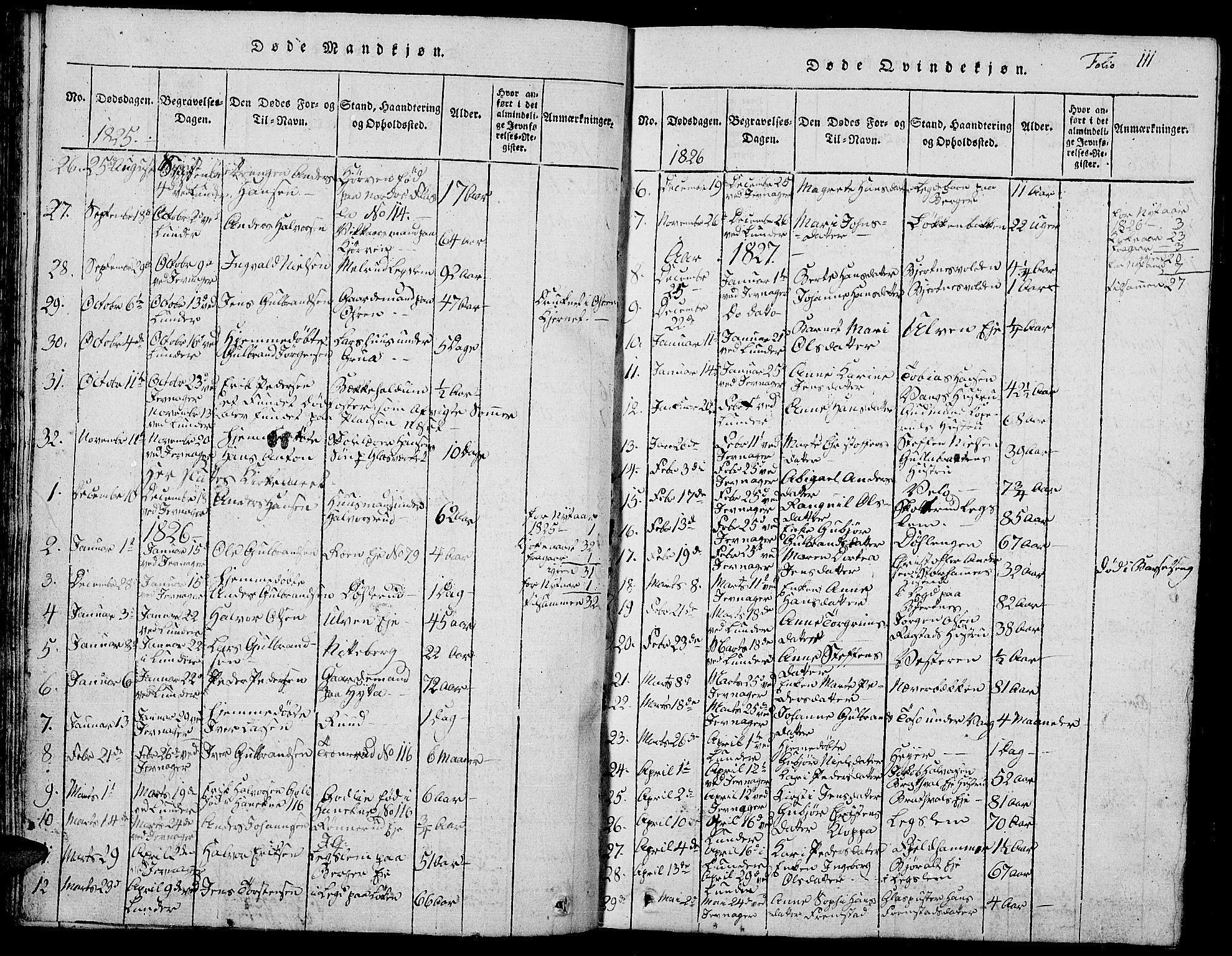 Jevnaker prestekontor, SAH/PREST-116/H/Ha/Hab/L0001: Parish register (copy) no. 1, 1815-1837, p. 111