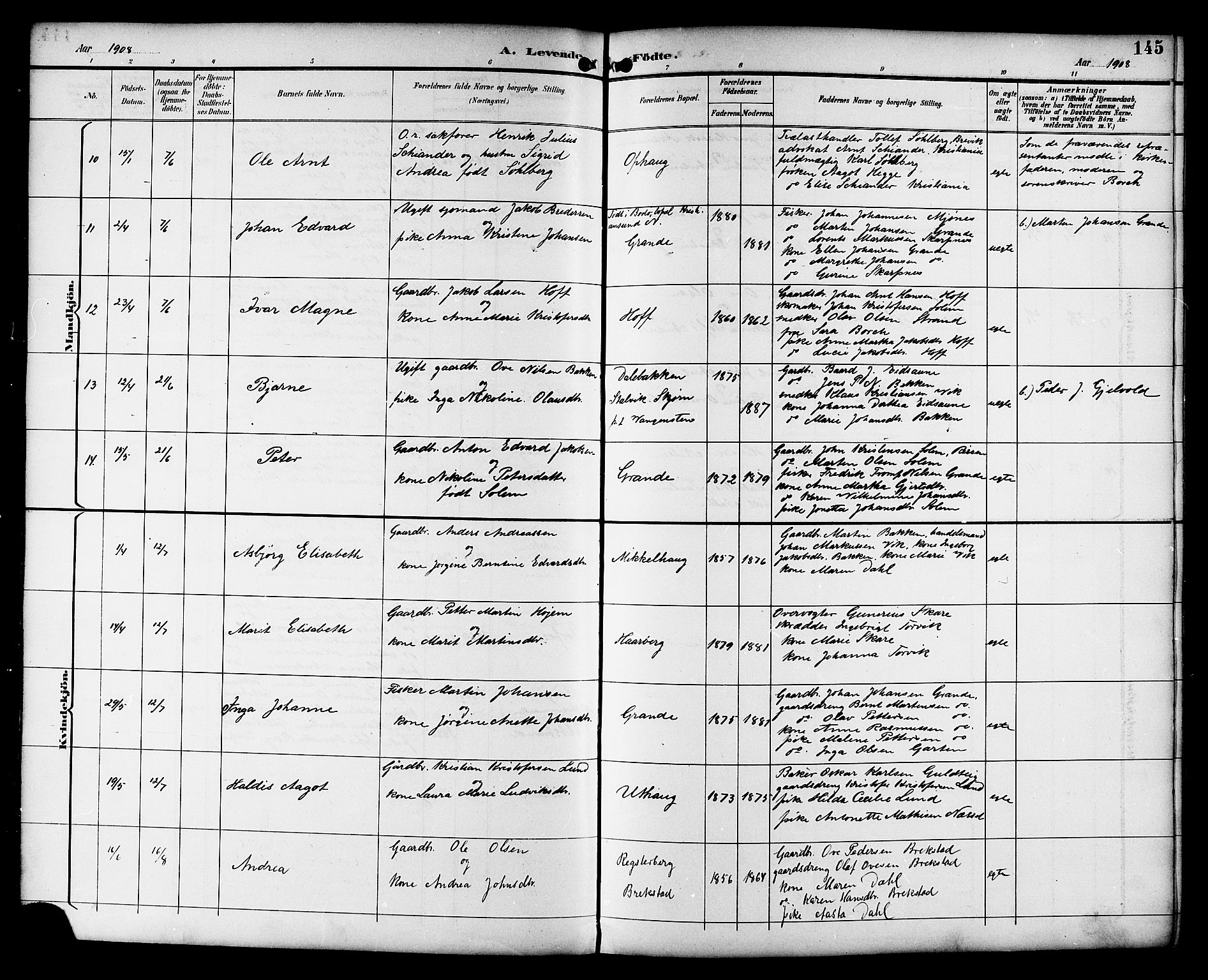 Ministerialprotokoller, klokkerbøker og fødselsregistre - Sør-Trøndelag, AV/SAT-A-1456/659/L0746: Parish register (copy) no. 659C03, 1893-1912, p. 145