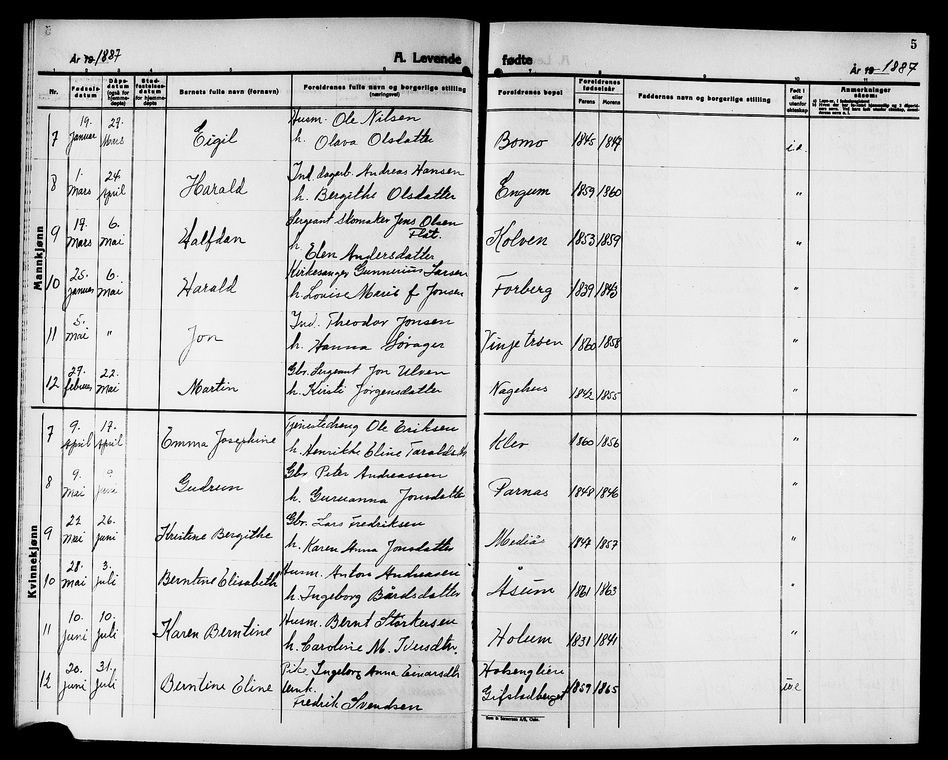 Ministerialprotokoller, klokkerbøker og fødselsregistre - Nord-Trøndelag, SAT/A-1458/749/L0487: Parish register (official) no. 749D03, 1887-1902, p. 5