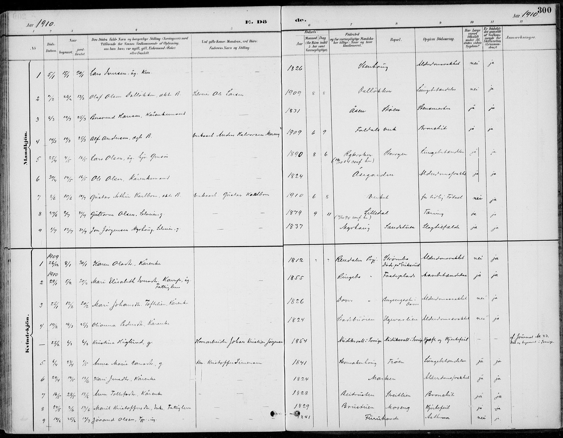 Alvdal prestekontor, AV/SAH-PREST-060/H/Ha/Haa/L0003: Parish register (official) no. 3, 1886-1912, p. 300