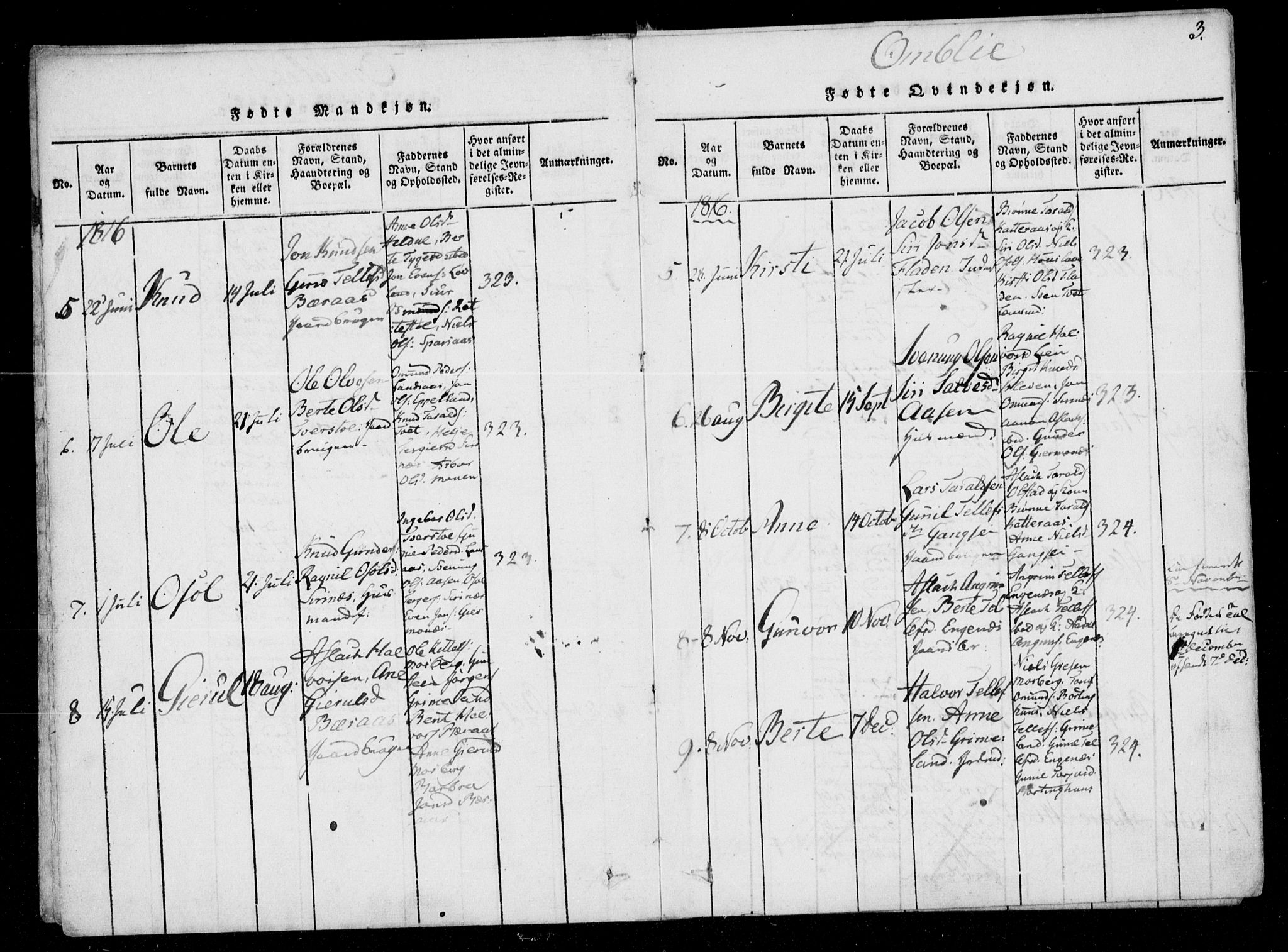 Åmli sokneprestkontor, AV/SAK-1111-0050/F/Fa/Fac/L0006: Parish register (official) no. A 6, 1816-1829, p. 3