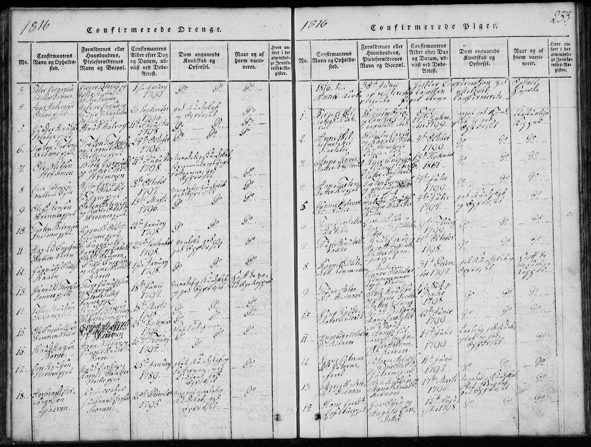 Rollag kirkebøker, AV/SAKO-A-240/G/Ga/L0001: Parish register (copy) no. I 1, 1814-1831, p. 233