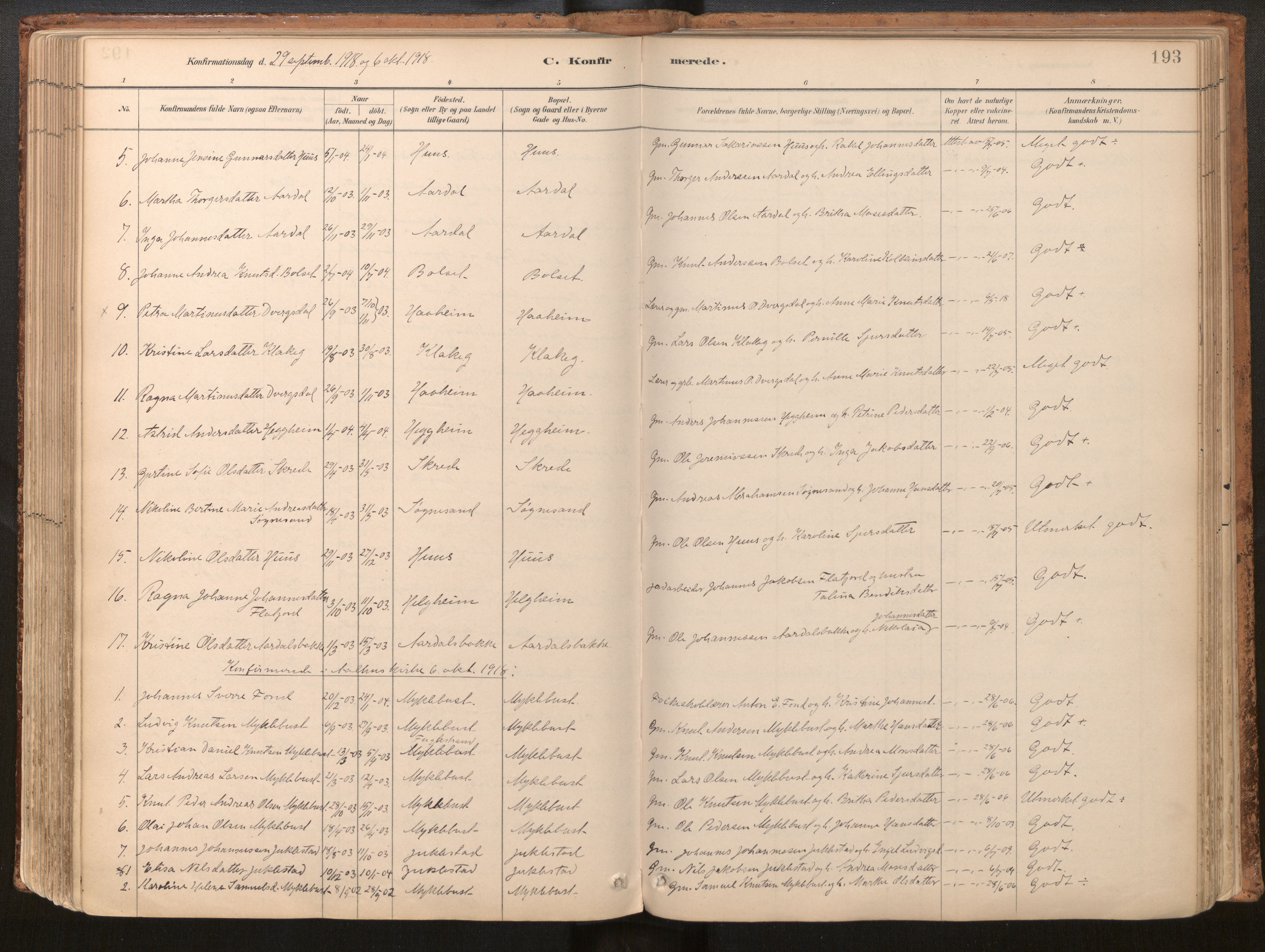 Jølster sokneprestembete, AV/SAB-A-80701/H/Haa/Haac/L0001: Parish register (official) no. C 1, 1882-1928, p. 193