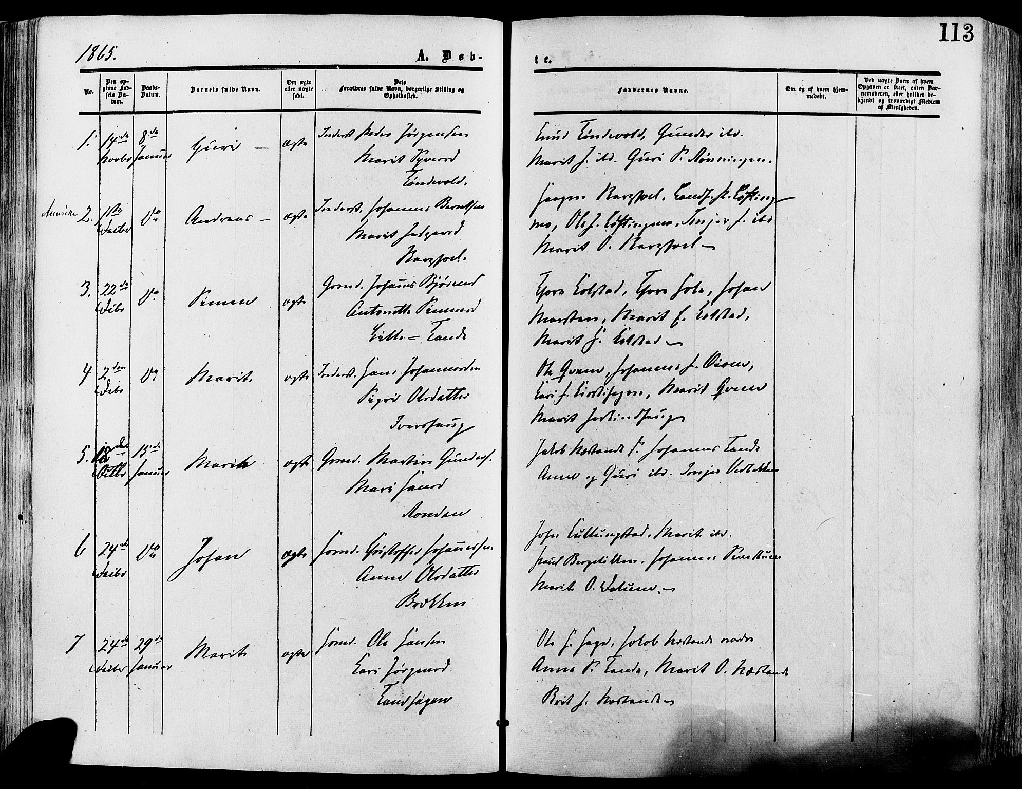 Lesja prestekontor, SAH/PREST-068/H/Ha/Haa/L0008: Parish register (official) no. 8, 1854-1880, p. 113