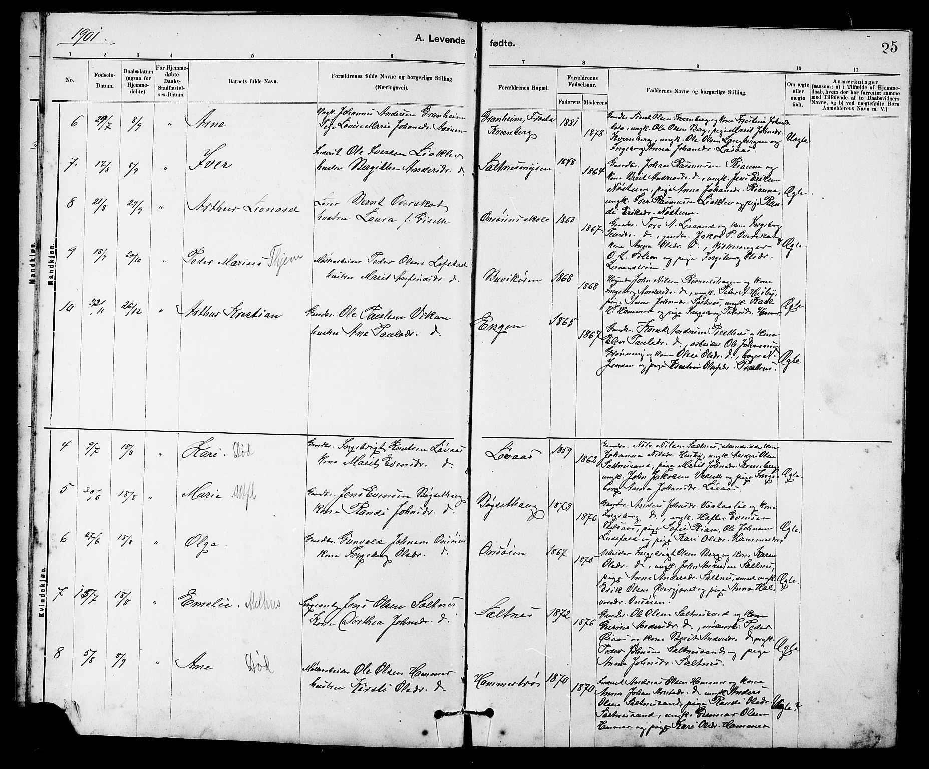 Ministerialprotokoller, klokkerbøker og fødselsregistre - Sør-Trøndelag, SAT/A-1456/666/L0790: Parish register (copy) no. 666C03, 1885-1908, p. 25