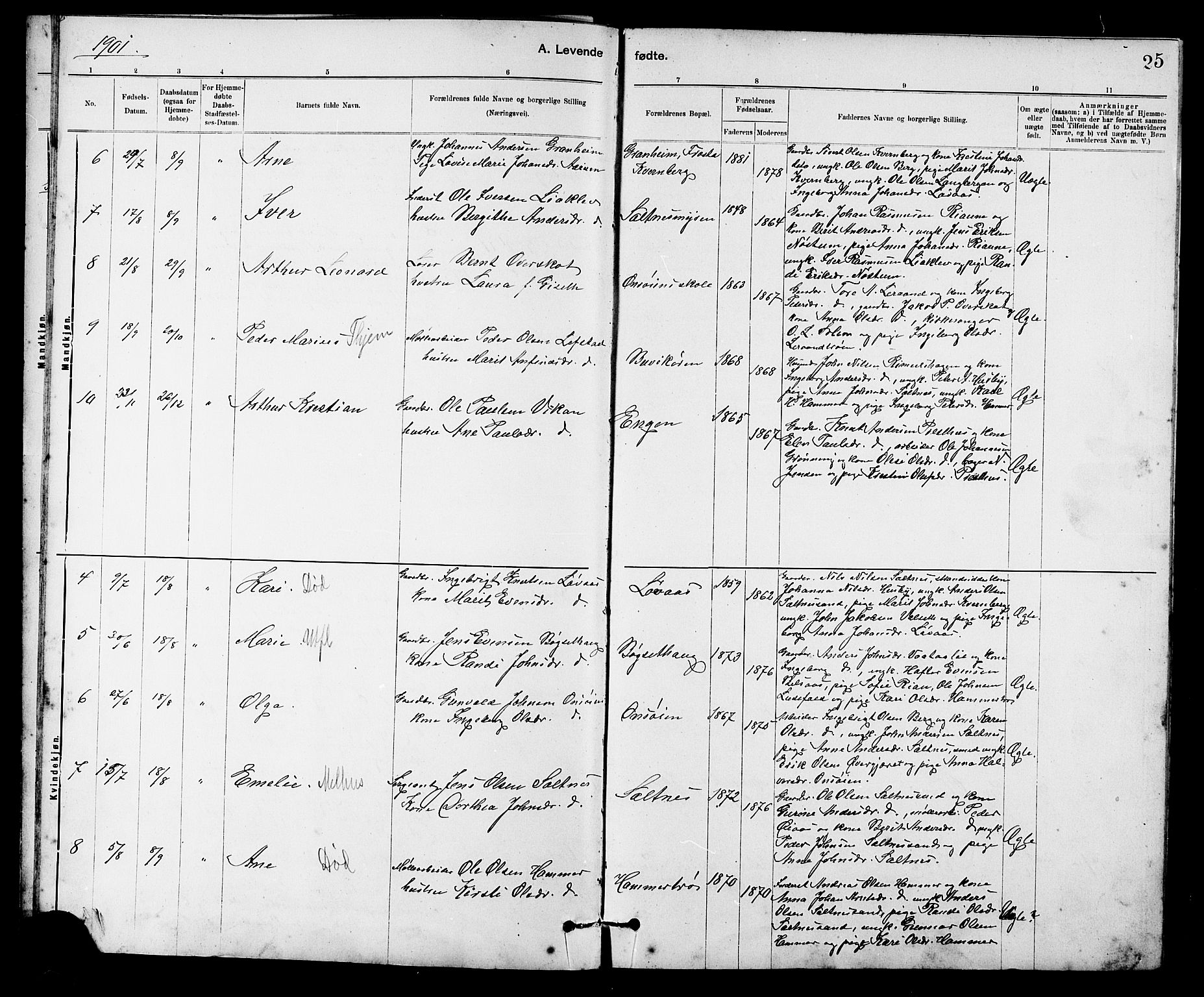 Ministerialprotokoller, klokkerbøker og fødselsregistre - Sør-Trøndelag, AV/SAT-A-1456/666/L0790: Parish register (copy) no. 666C03, 1885-1908, p. 25