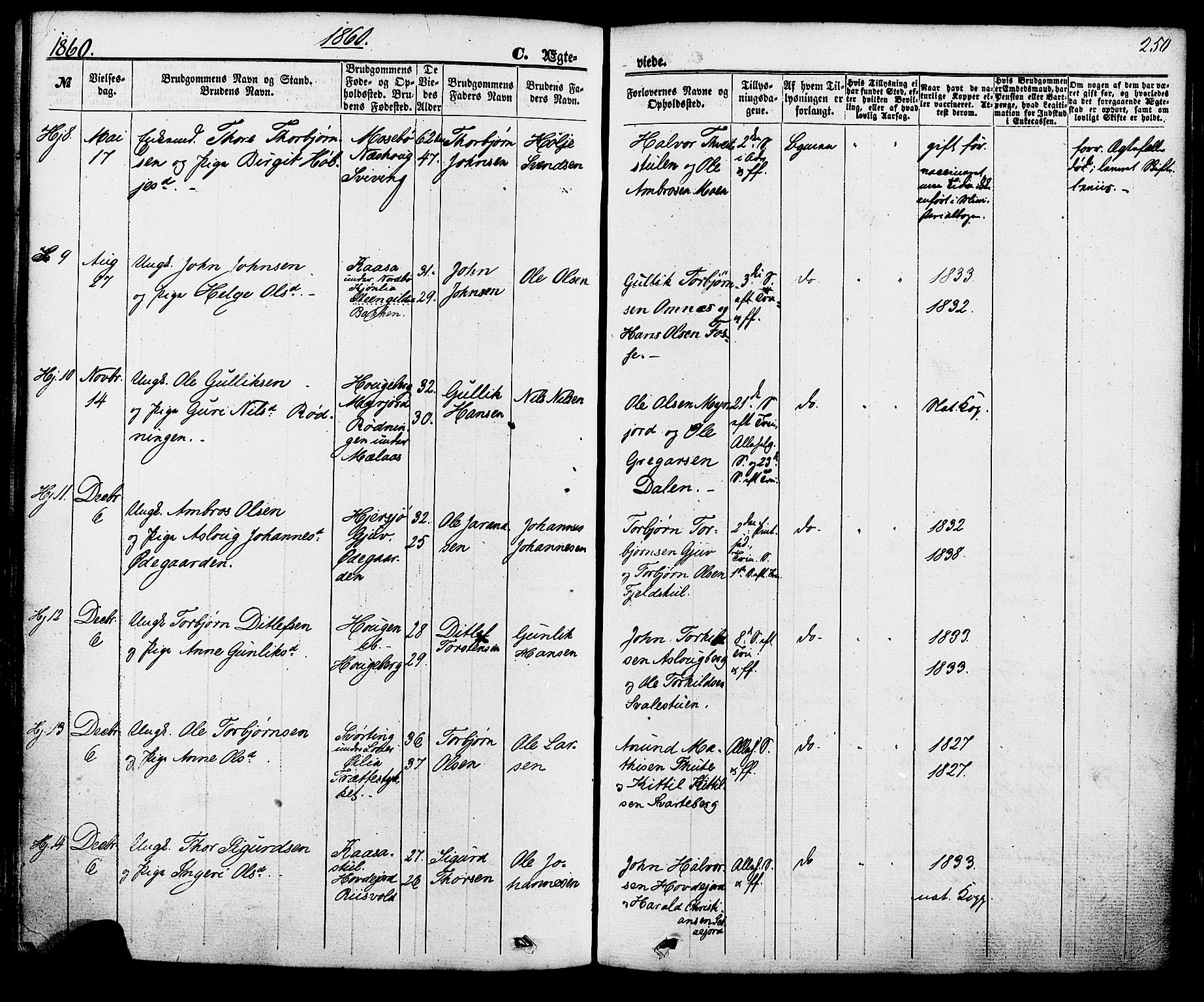 Hjartdal kirkebøker, SAKO/A-270/F/Fa/L0009: Parish register (official) no. I 9, 1860-1879, p. 250