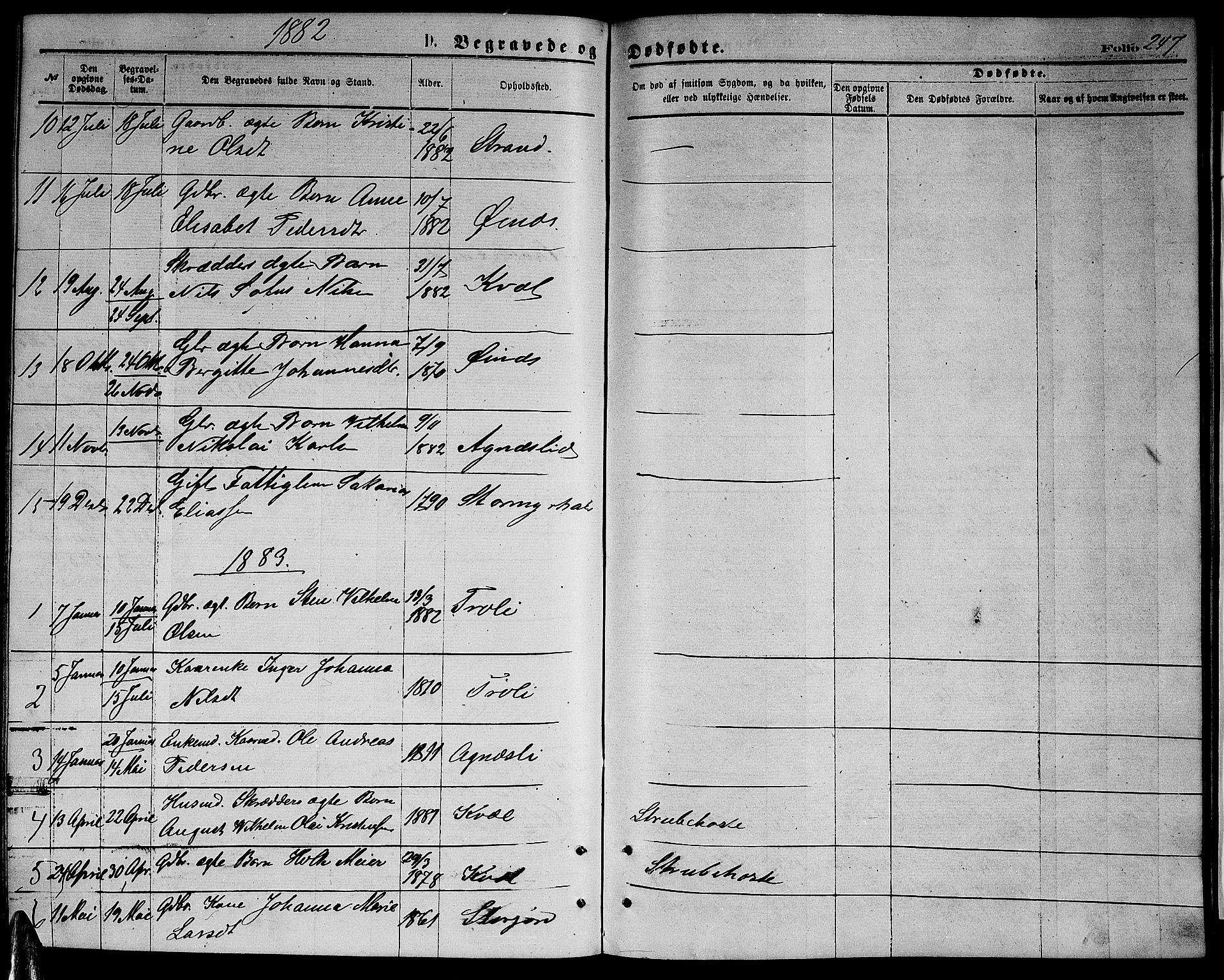Ministerialprotokoller, klokkerbøker og fødselsregistre - Nordland, SAT/A-1459/846/L0653: Parish register (copy) no. 846C03, 1872-1887, p. 247