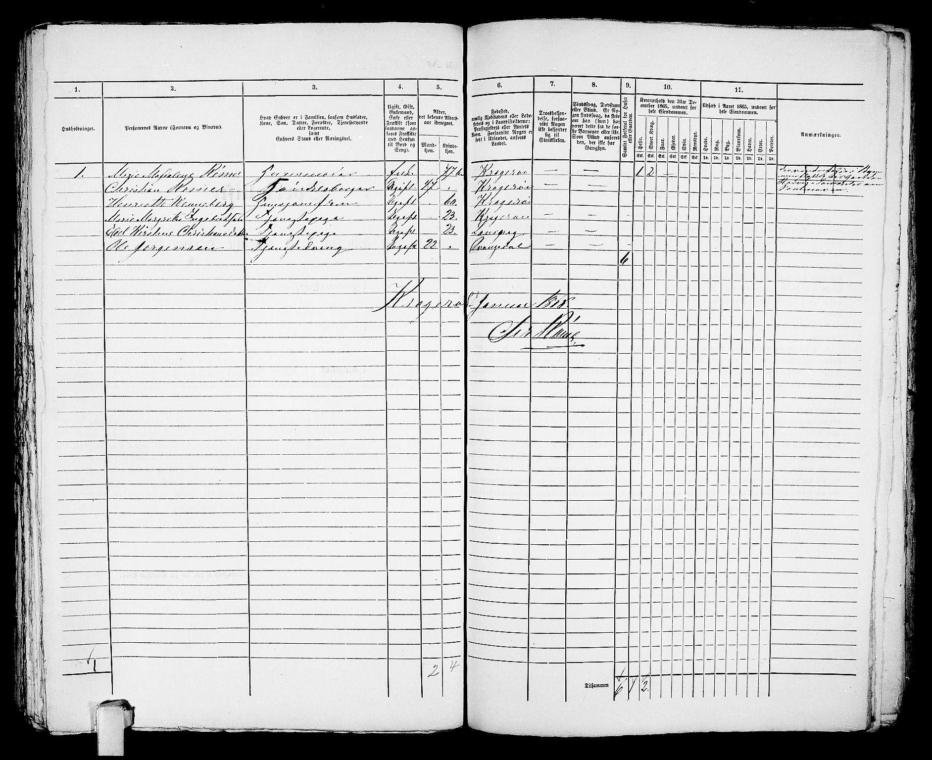 RA, 1865 census for Kragerø/Kragerø, 1865, p. 1101