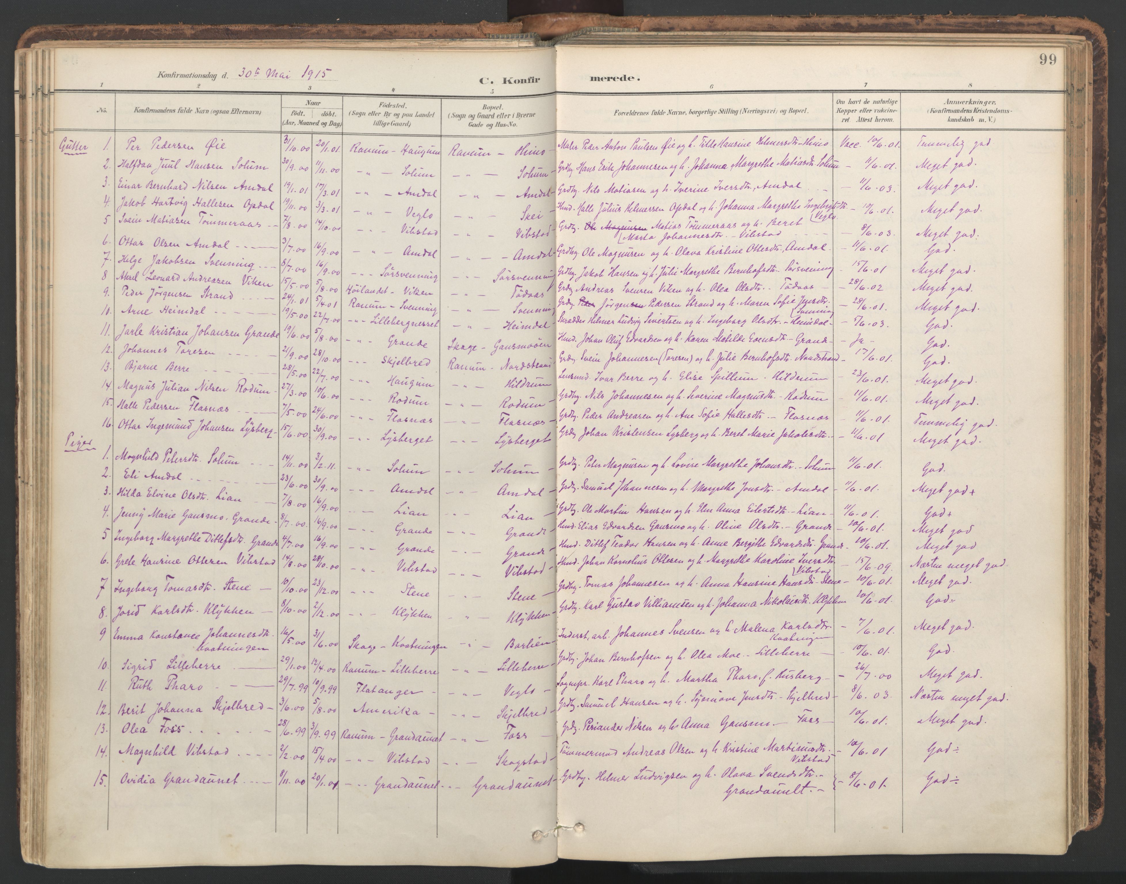 Ministerialprotokoller, klokkerbøker og fødselsregistre - Nord-Trøndelag, SAT/A-1458/764/L0556: Parish register (official) no. 764A11, 1897-1924, p. 99