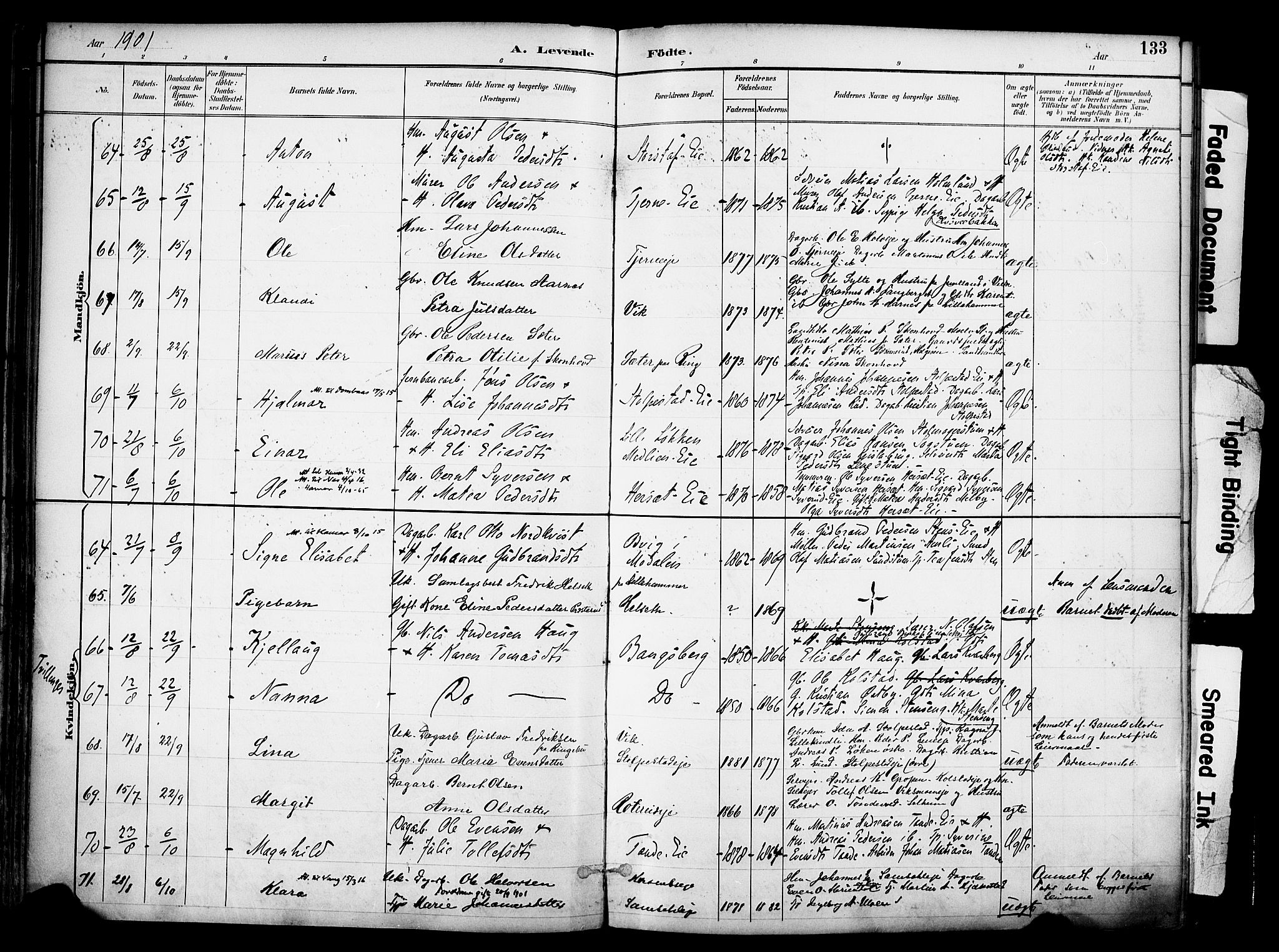 Ringsaker prestekontor, AV/SAH-PREST-014/K/Ka/L0017: Parish register (official) no. 17, 1891-1902, p. 133