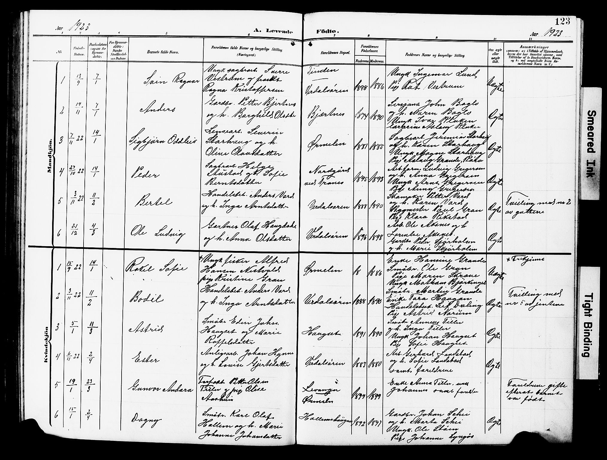 Ministerialprotokoller, klokkerbøker og fødselsregistre - Nord-Trøndelag, AV/SAT-A-1458/723/L0258: Parish register (copy) no. 723C06, 1908-1927, p. 123