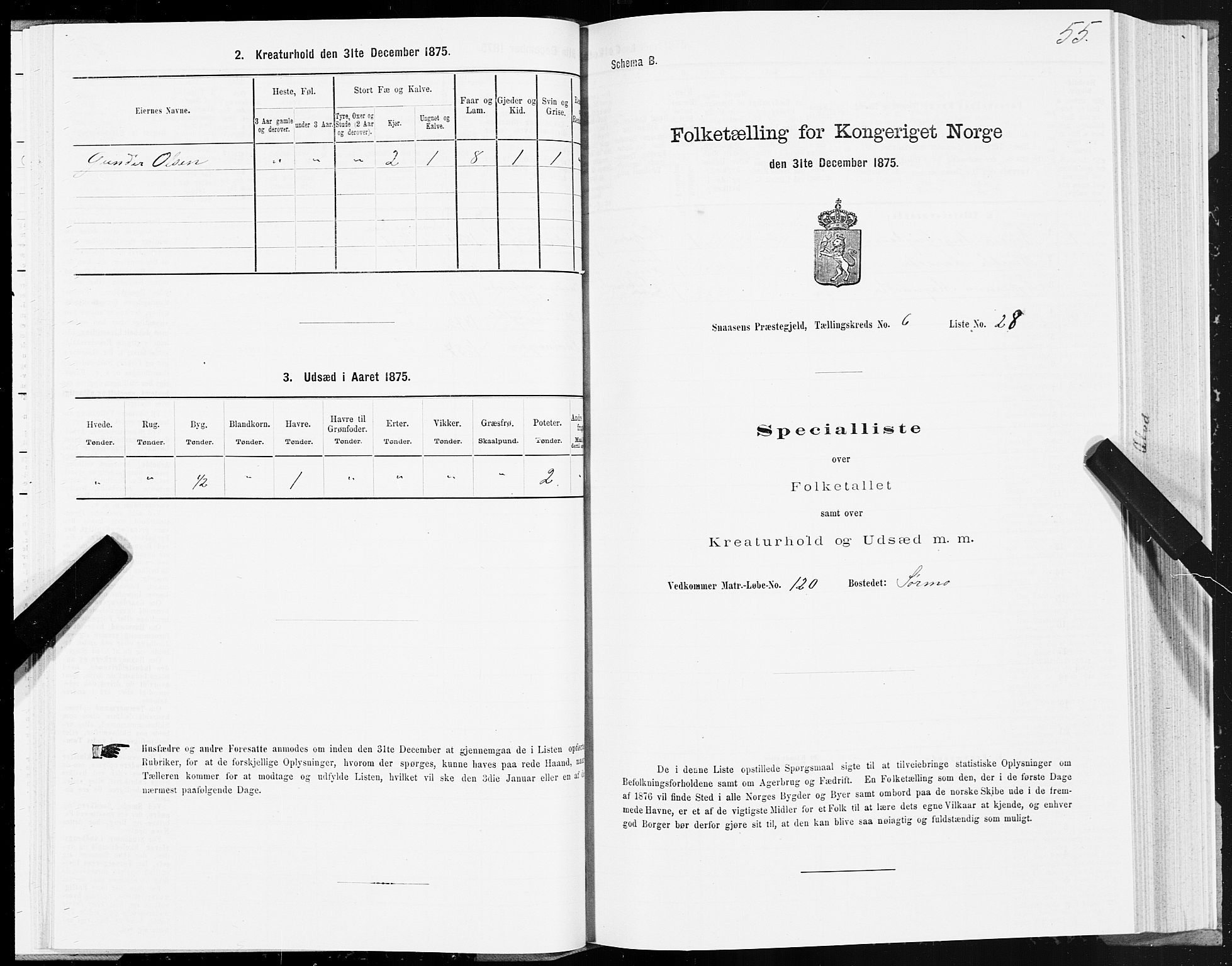 SAT, 1875 census for 1736P Snåsa, 1875, p. 3055