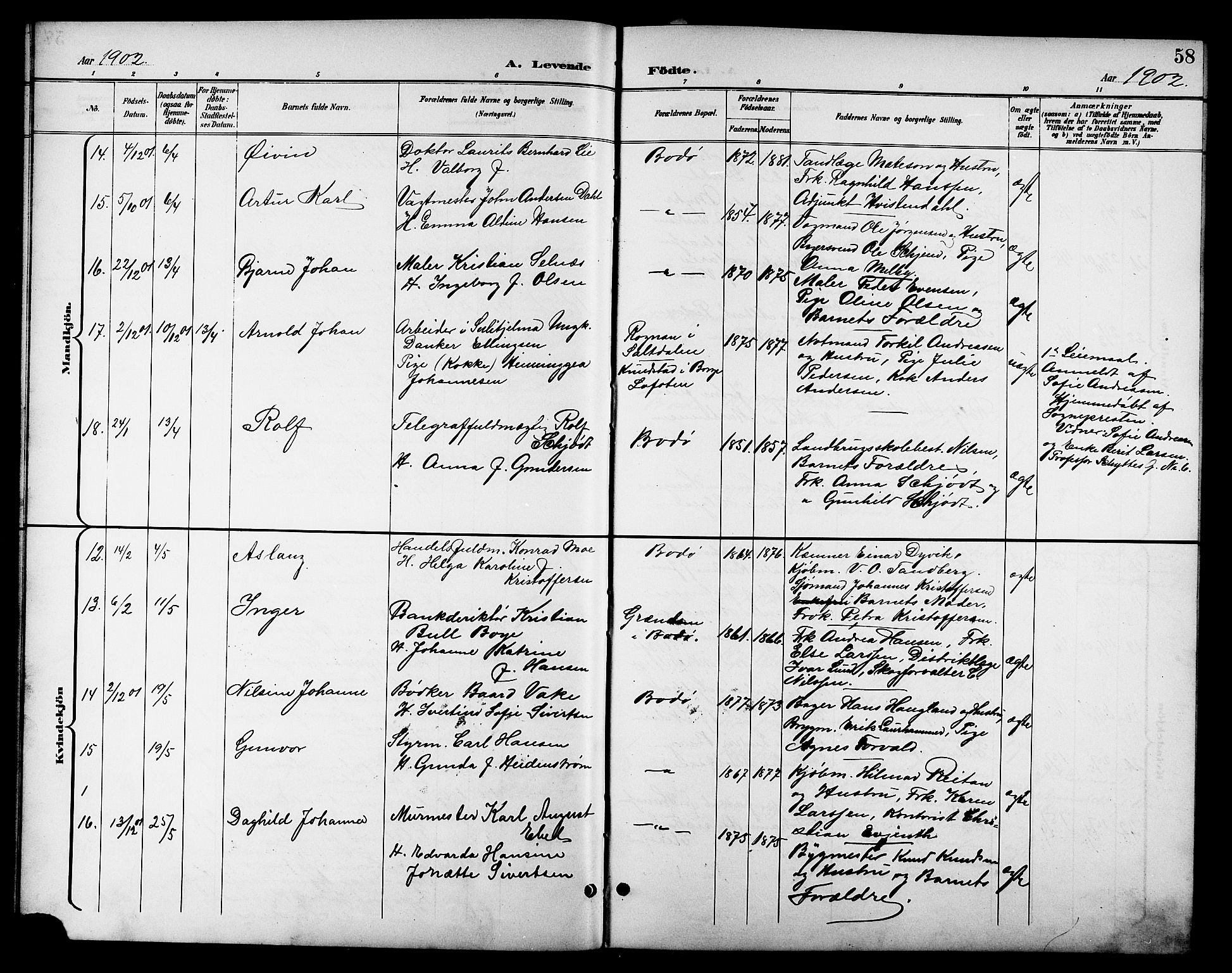 Ministerialprotokoller, klokkerbøker og fødselsregistre - Nordland, AV/SAT-A-1459/801/L0033: Parish register (copy) no. 801C08, 1898-1910, p. 58