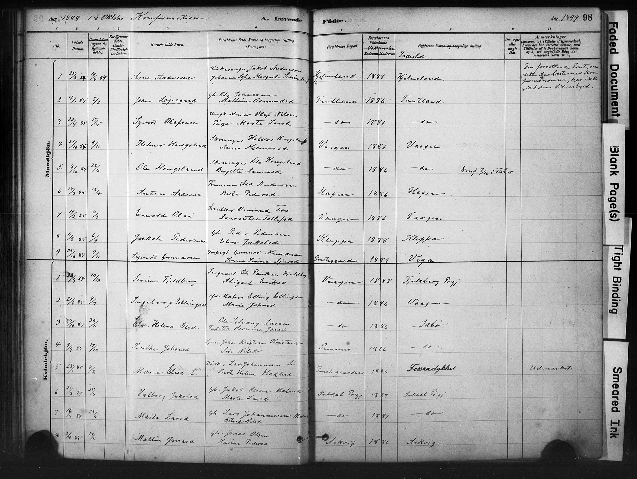 Hjelmeland sokneprestkontor, AV/SAST-A-101843/01/IV/L0014: Parish register (official) no. A 14, 1879-1900, p. 98