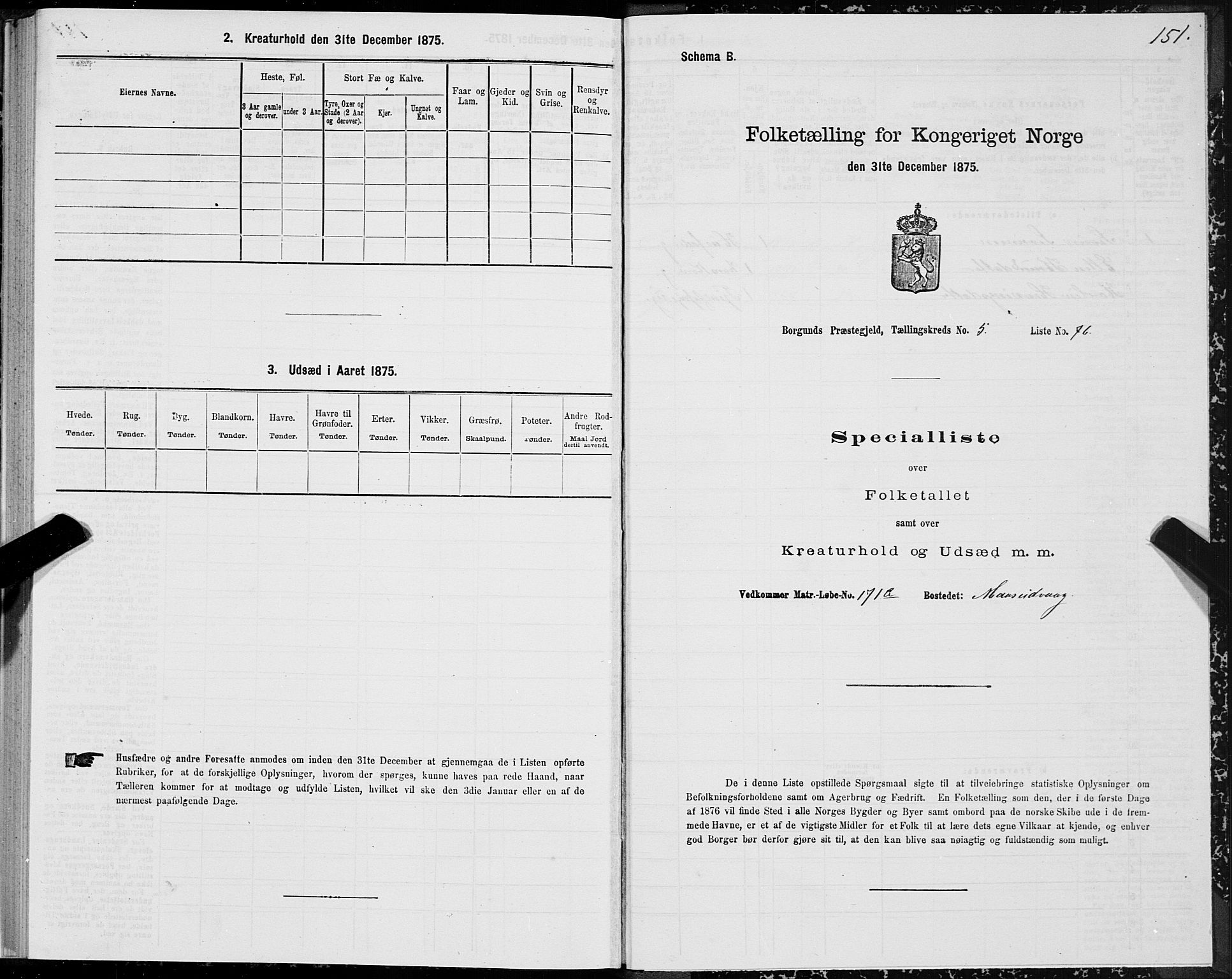 SAT, 1875 census for 1531P Borgund, 1875, p. 3151