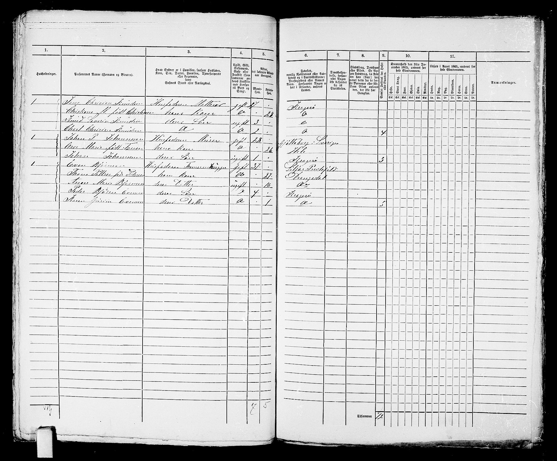 RA, 1865 census for Kragerø/Kragerø, 1865, p. 377